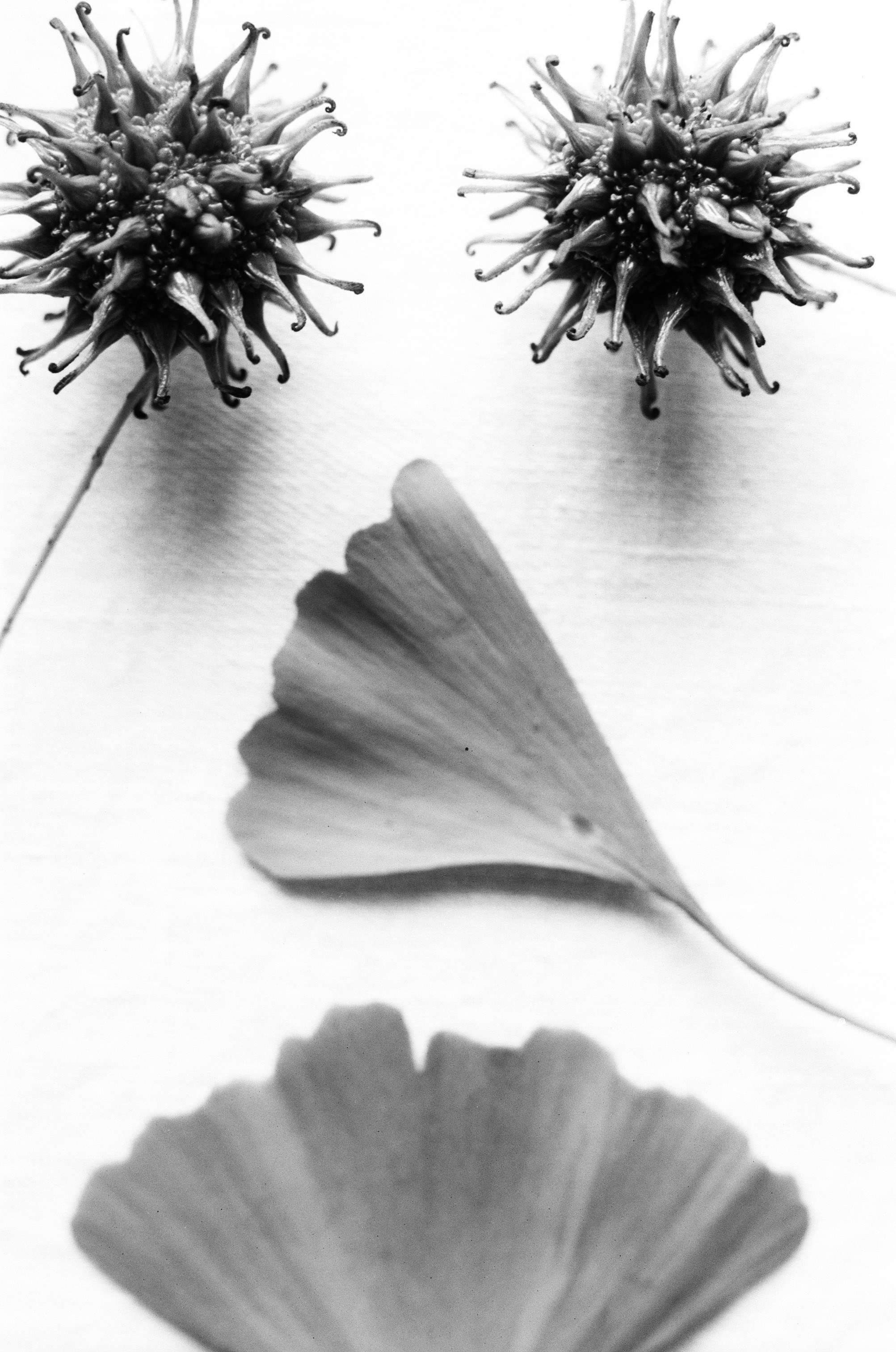 Иконическое. Избранное. Бесценное. Punctum