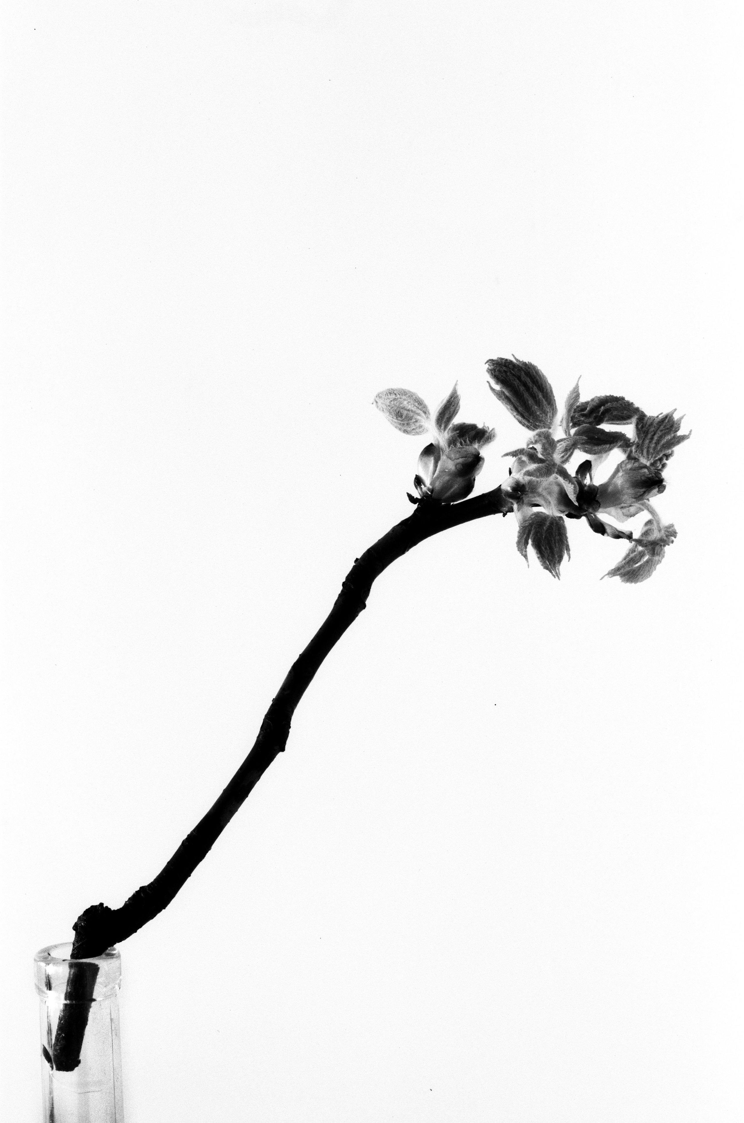 Иконическое. Избранное. Бесценное. Punctum