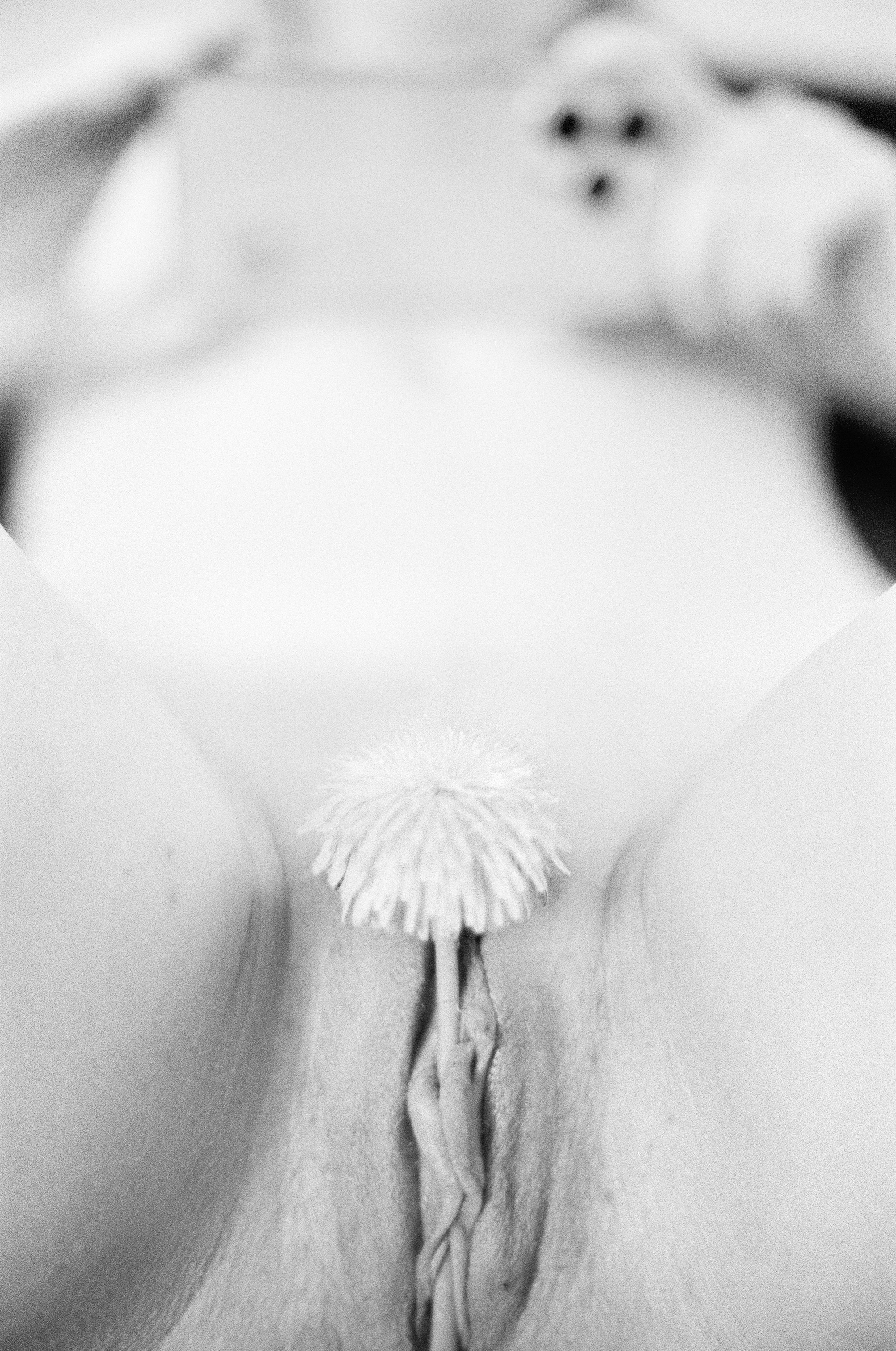 Иконическое. Избранное. Бесценное. Punctum