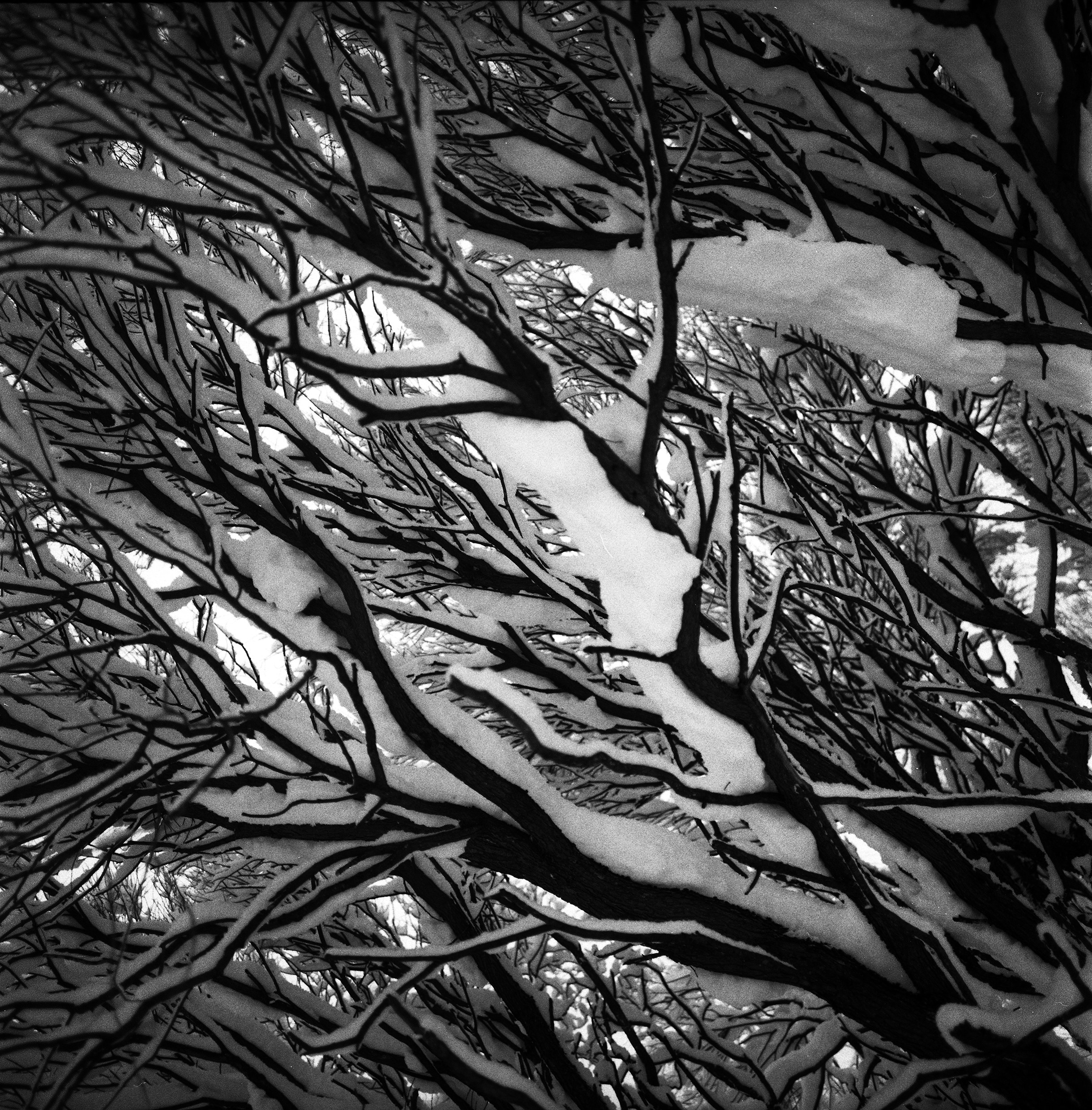 Иконическое. Избранное. Бесценное. Punctum