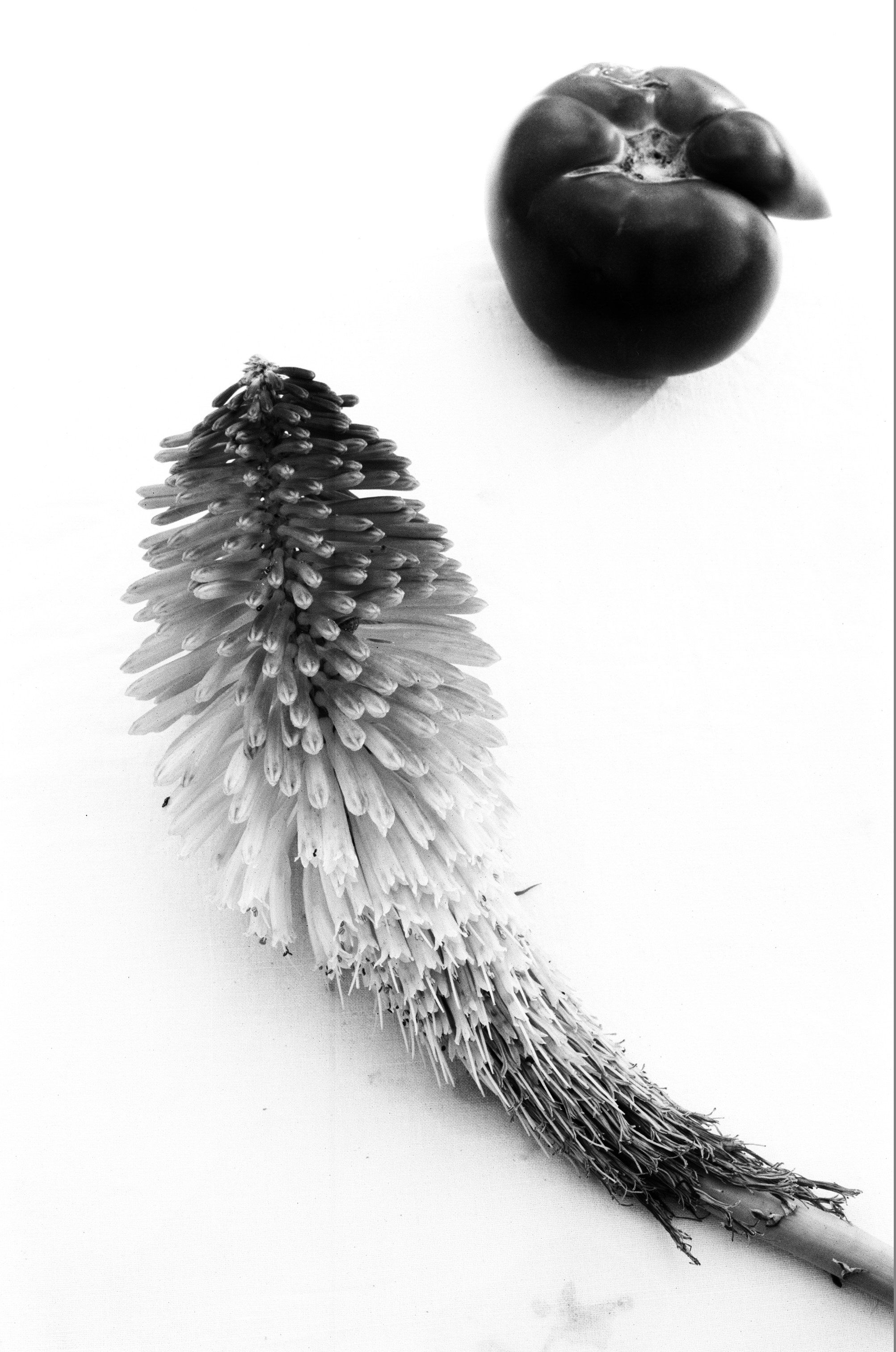 Иконическое. Избранное. Бесценное. Punctum