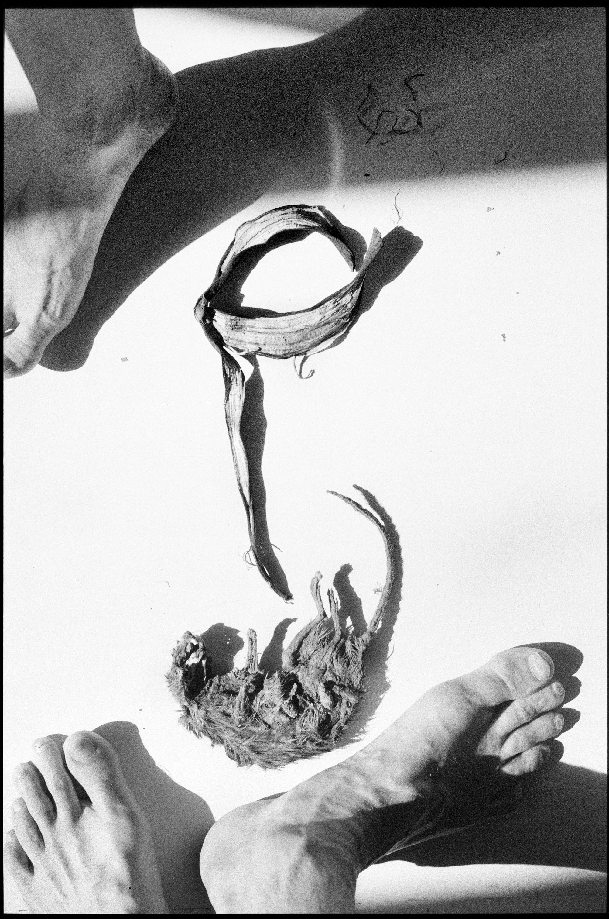 Иконическое. Избранное. Бесценное. Punctum