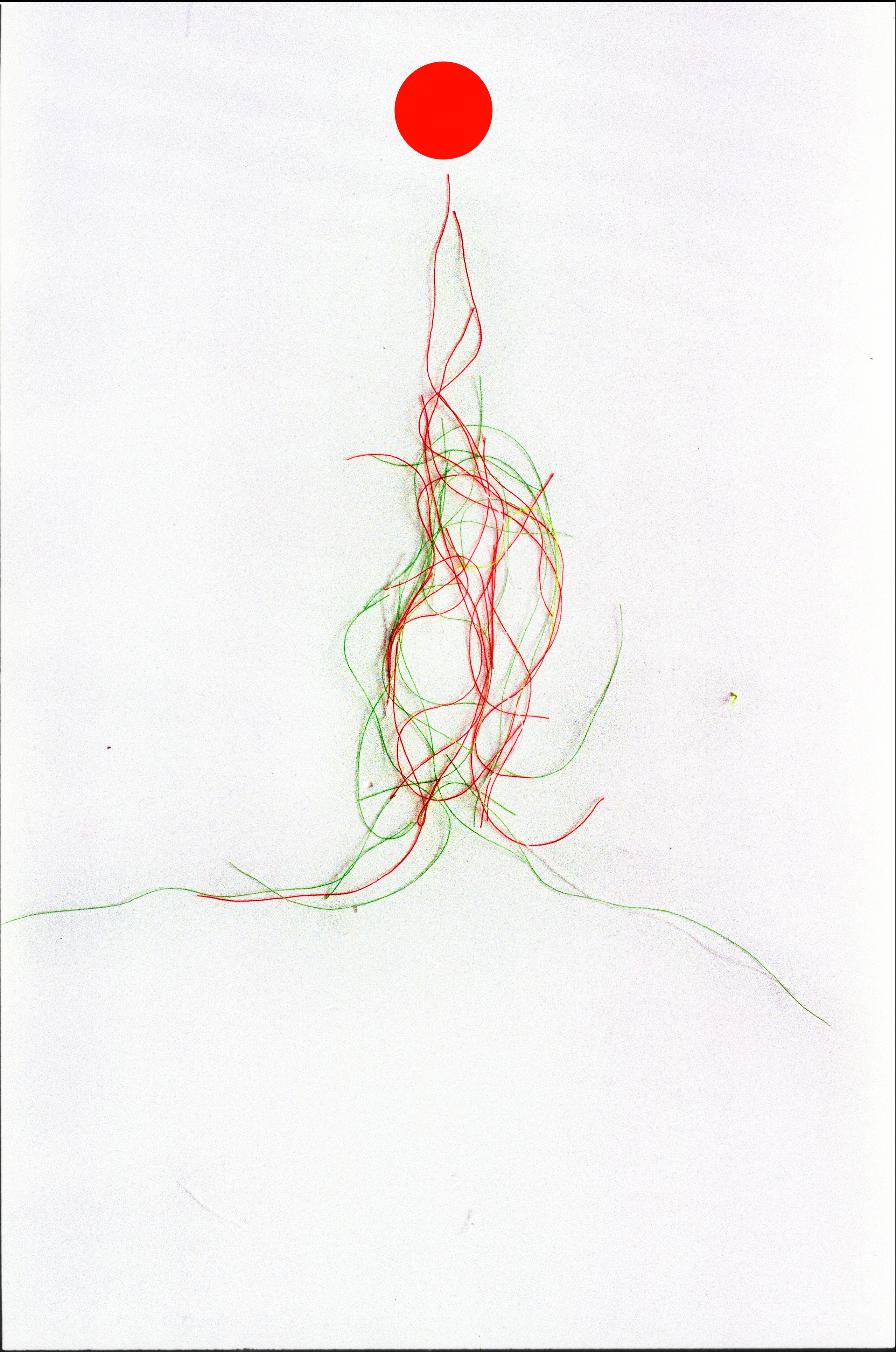 Иконическое. Избранное. Бесценное. Punctum