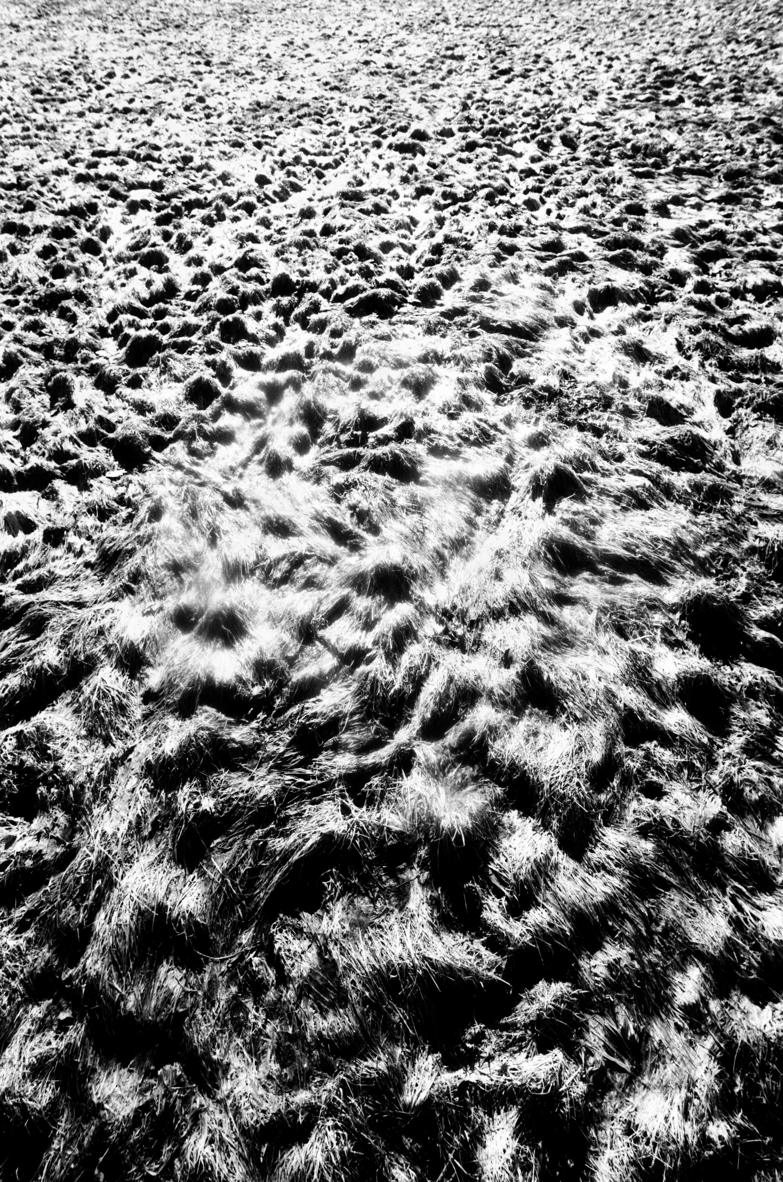 Иконическое. Избранное. Бесценное. Punctum