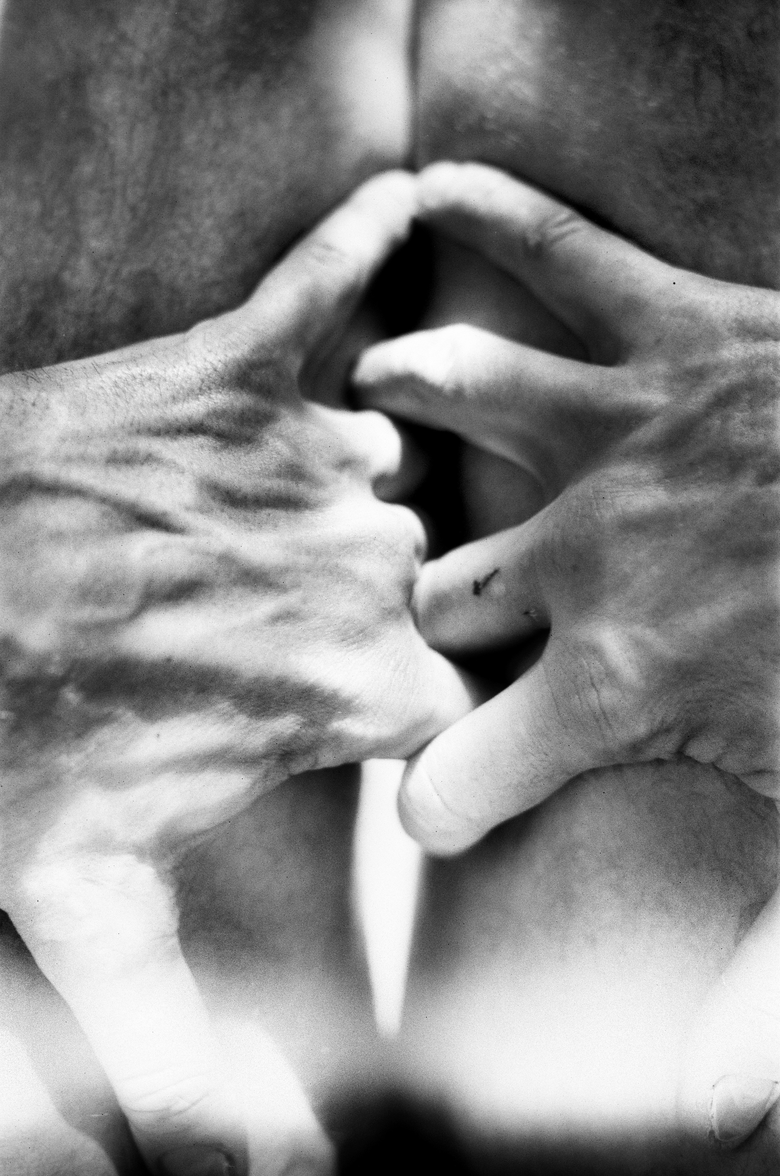 Иконическое. Избранное. Бесценное. Punctum