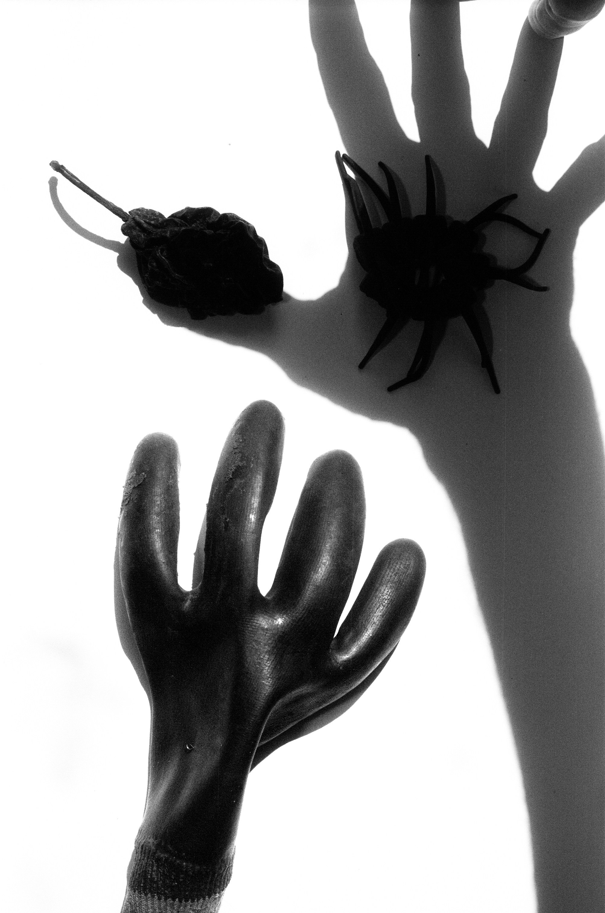 Иконическое. Избранное. Бесценное. Punctum
