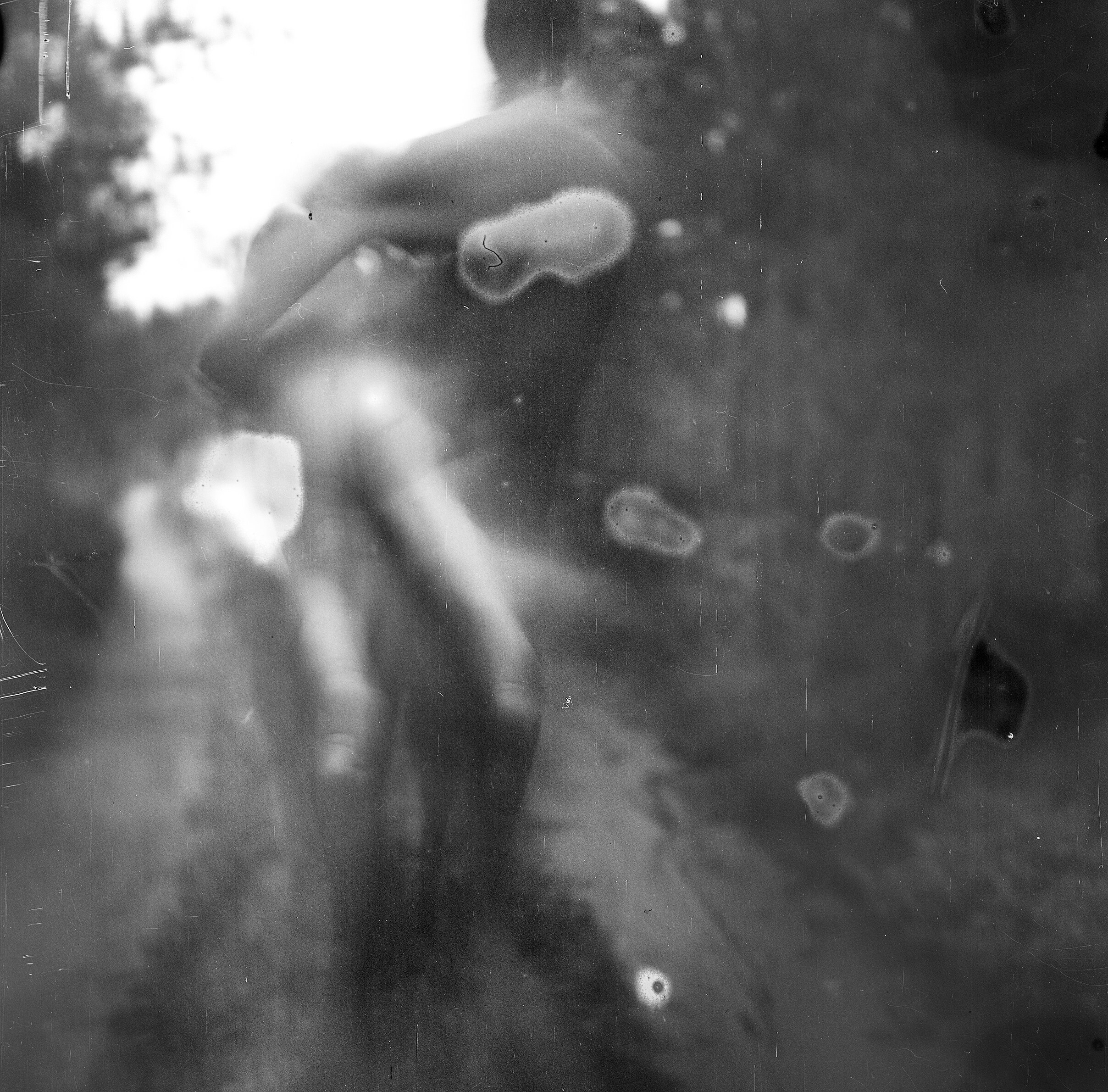 Иконическое. Избранное. Бесценное. Punctum