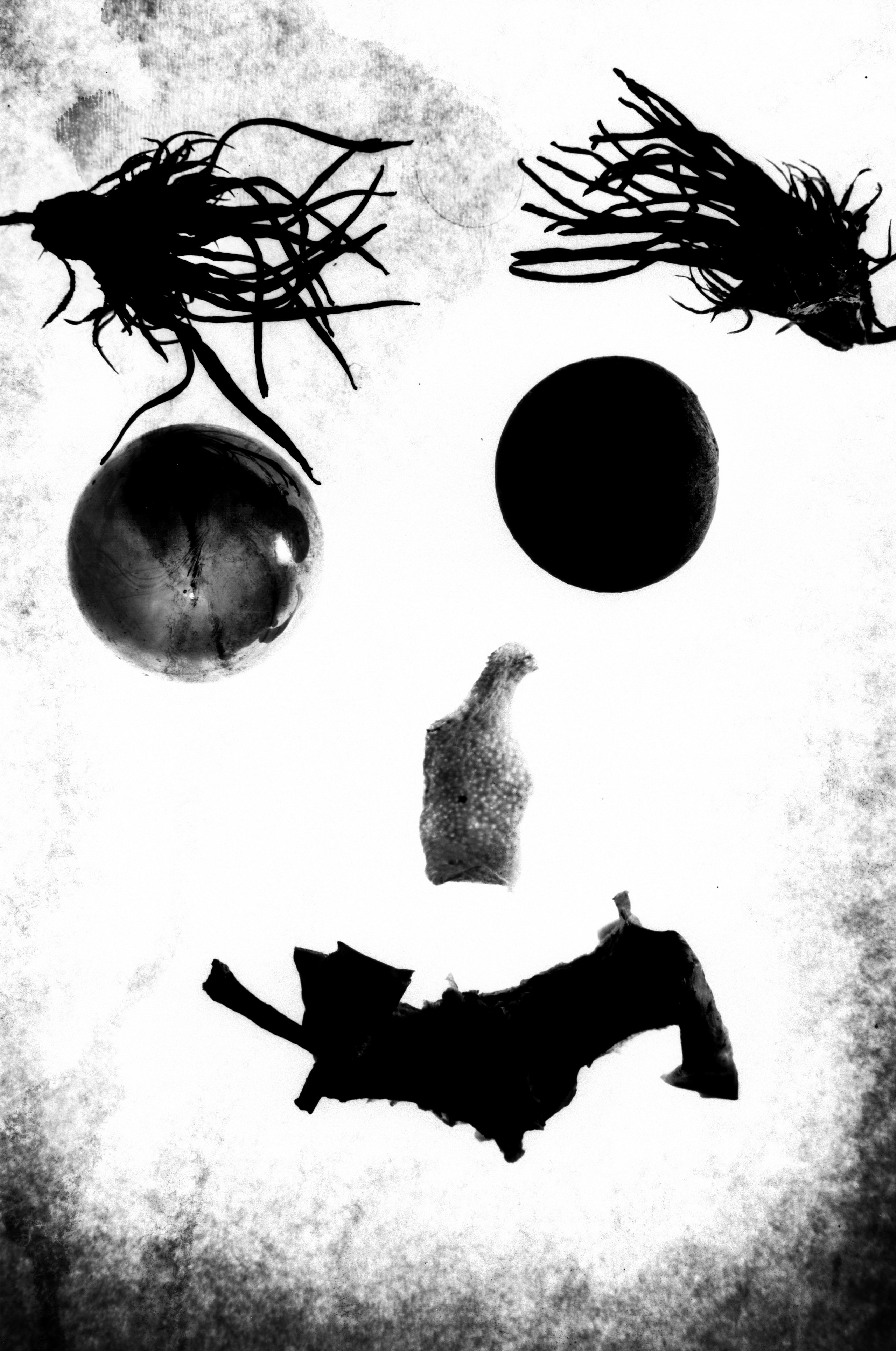 Иконическое. Избранное. Бесценное. Punctum