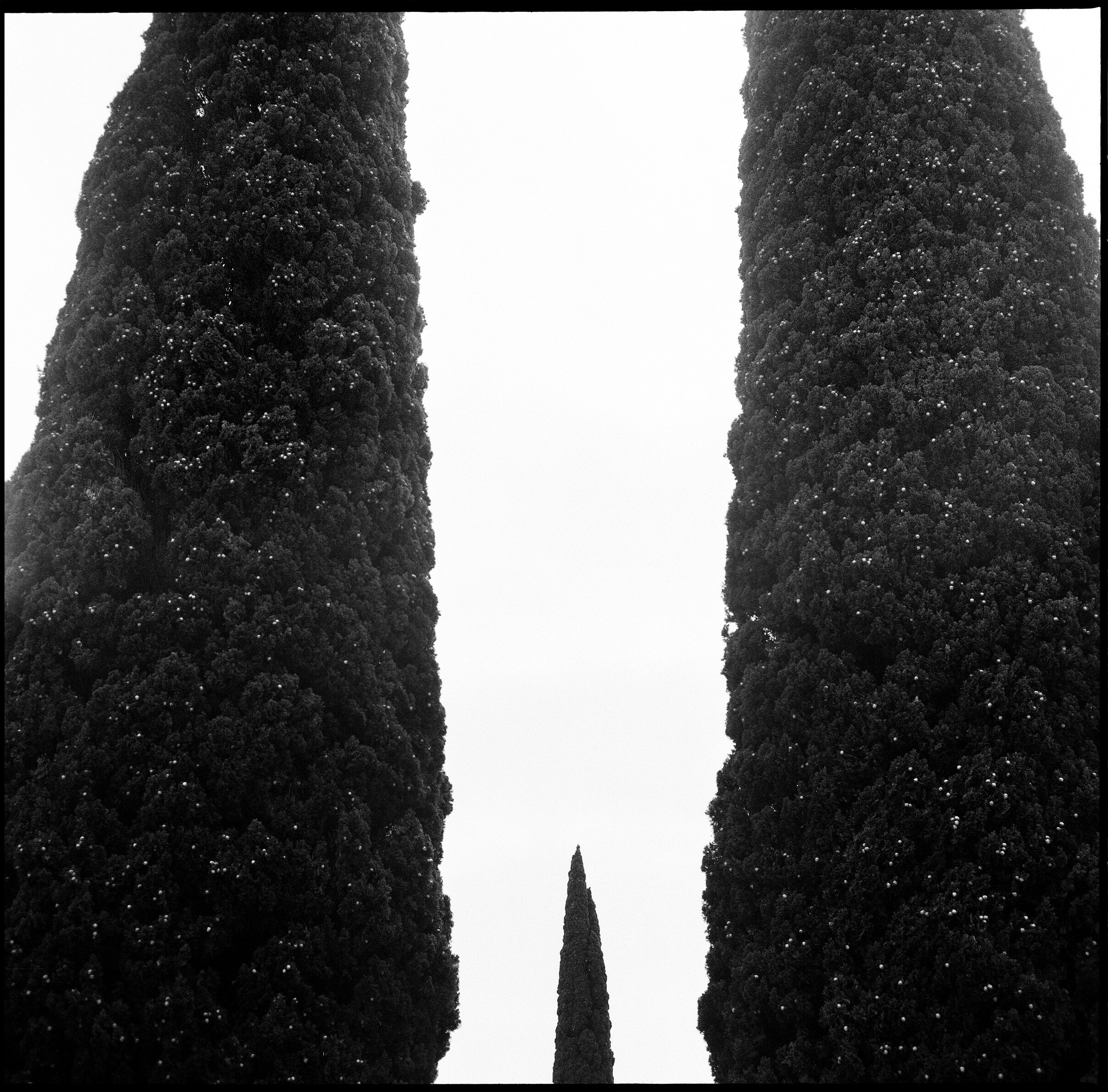 Иконическое. Избранное. Бесценное. Punctum