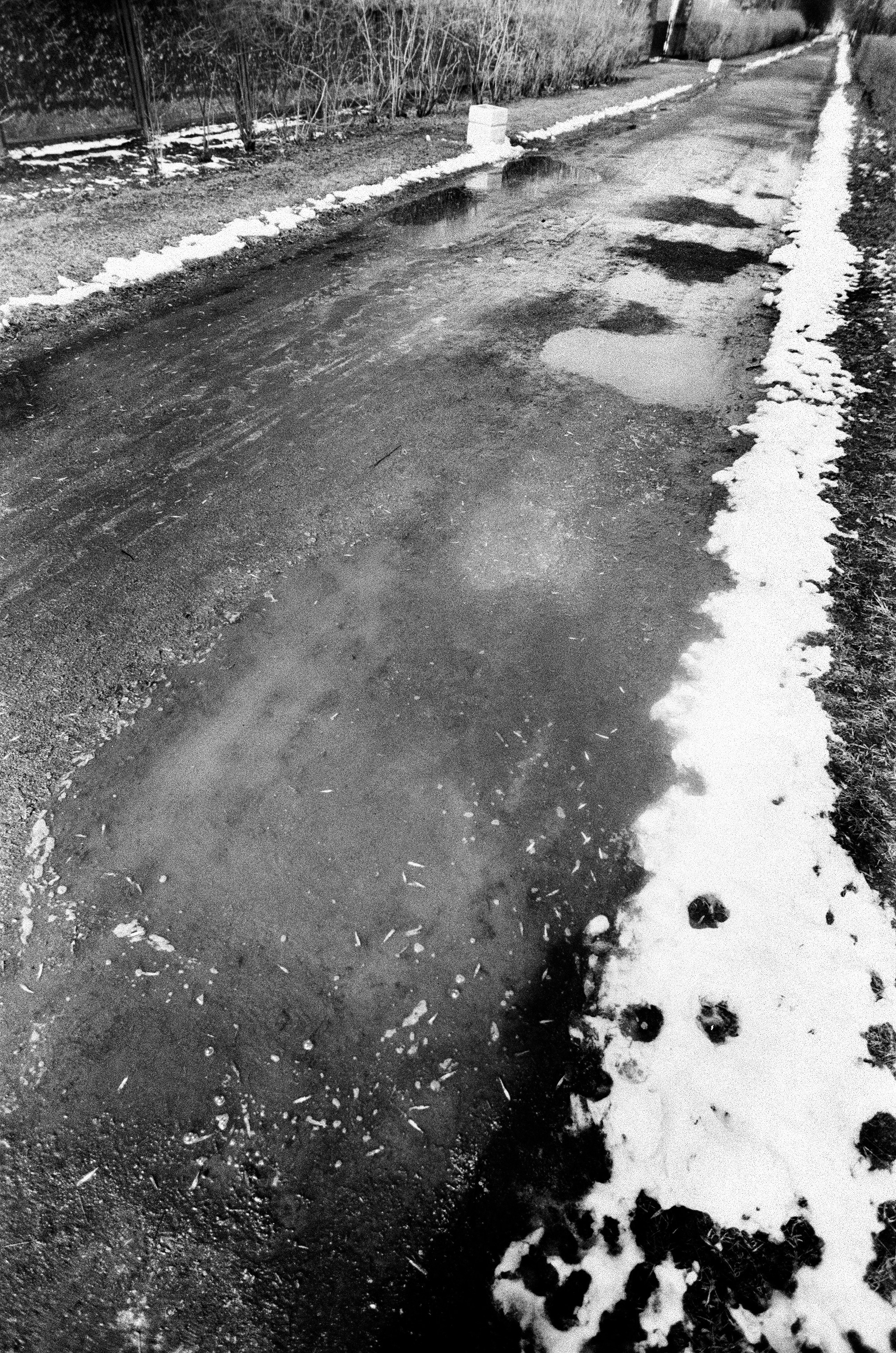 Иконическое. Избранное. Бесценное. Punctum