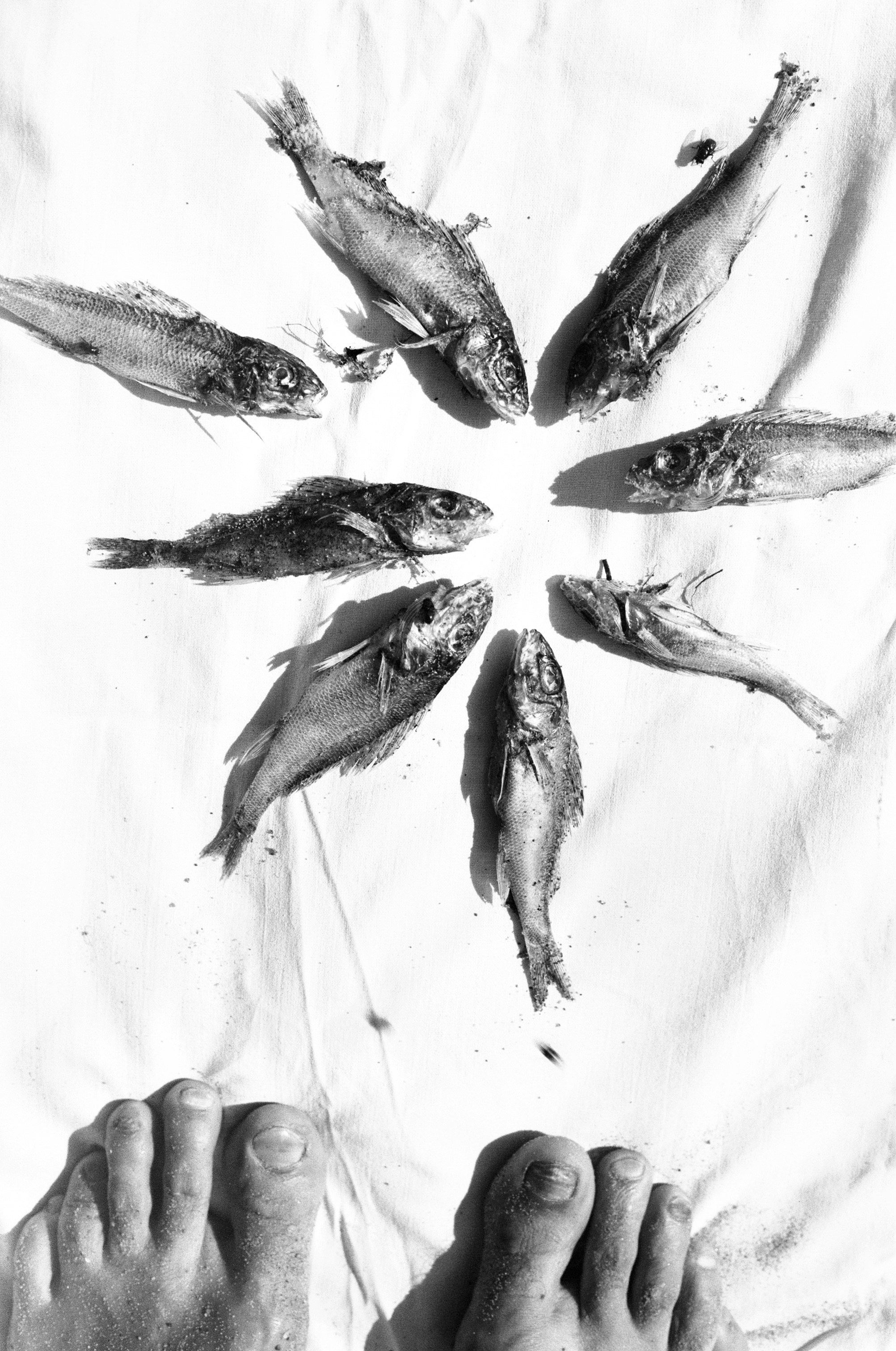 Иконическое. Избранное. Бесценное. Punctum