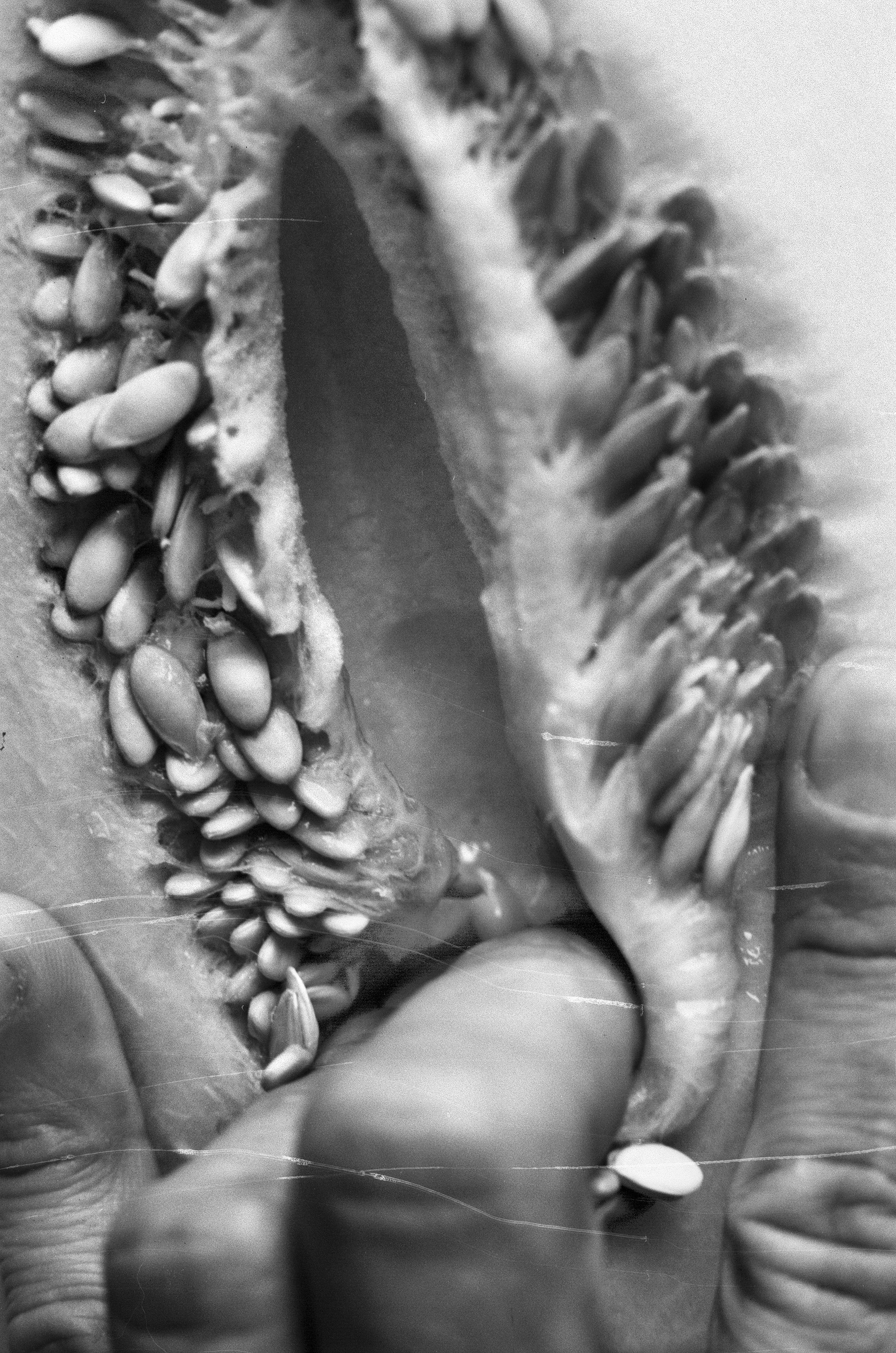 Иконическое. Избранное. Бесценное. Punctum