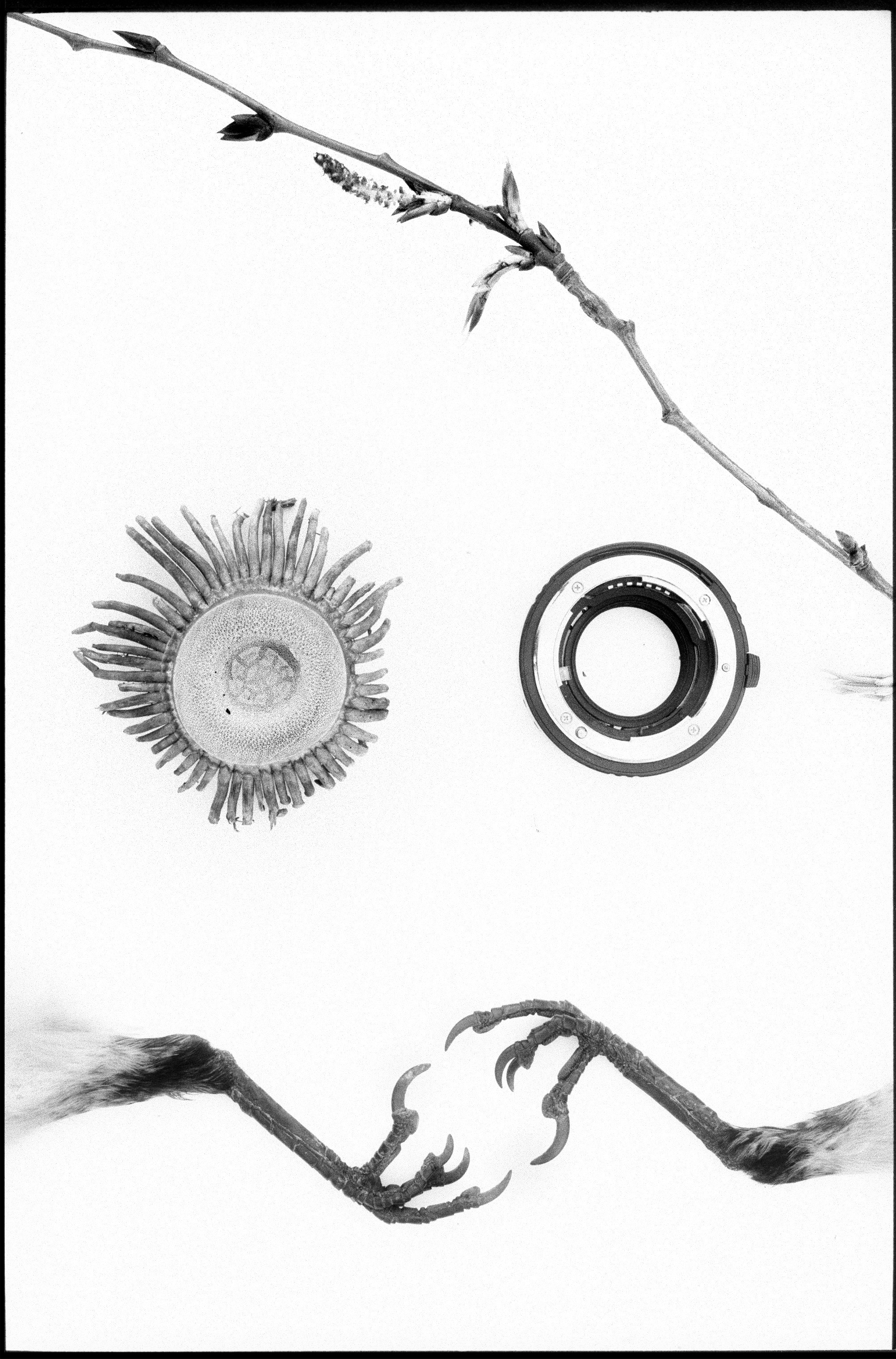Иконическое. Избранное. Бесценное. Punctum