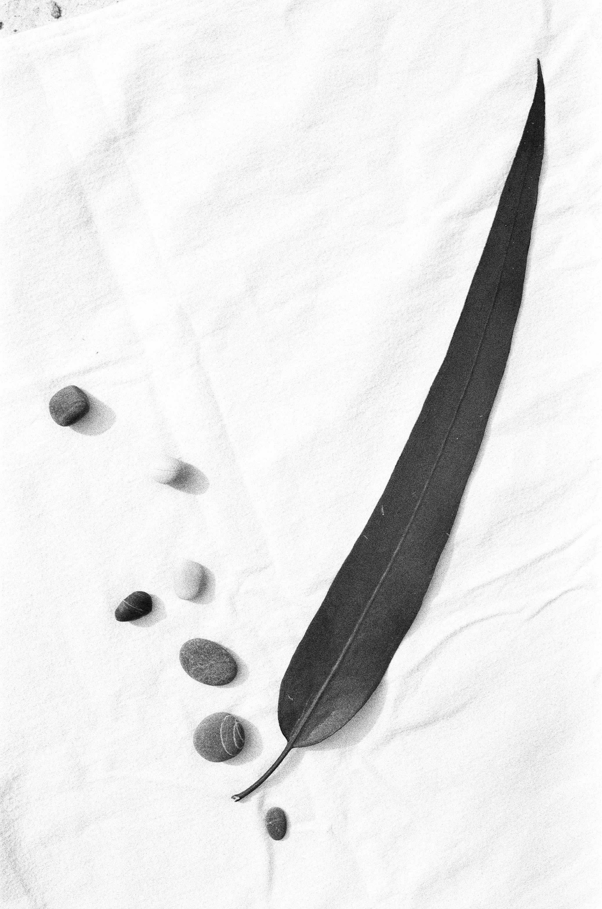 Иконическое. Избранное. Бесценное. Punctum