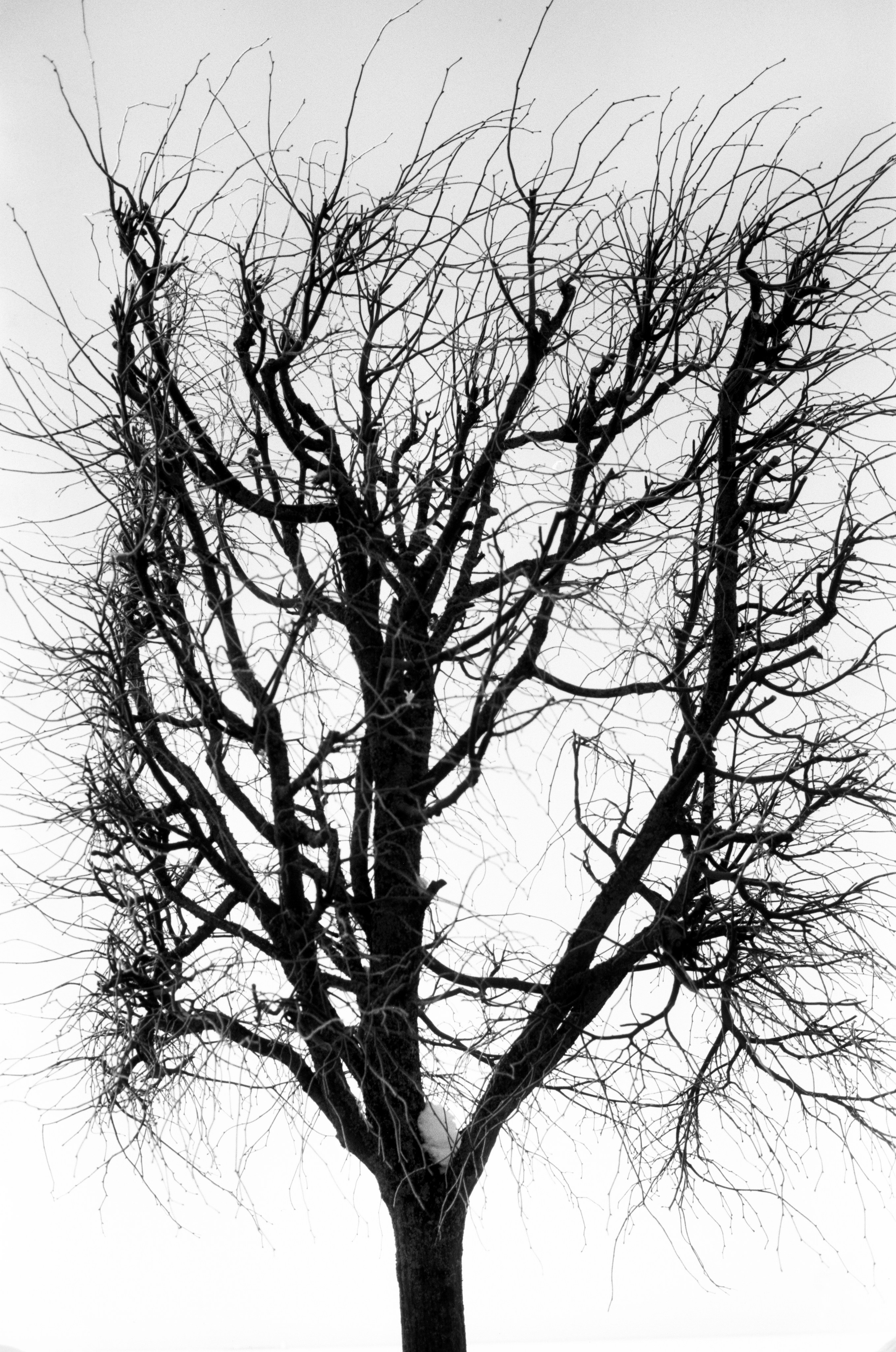 Иконическое. Избранное. Бесценное. Punctum