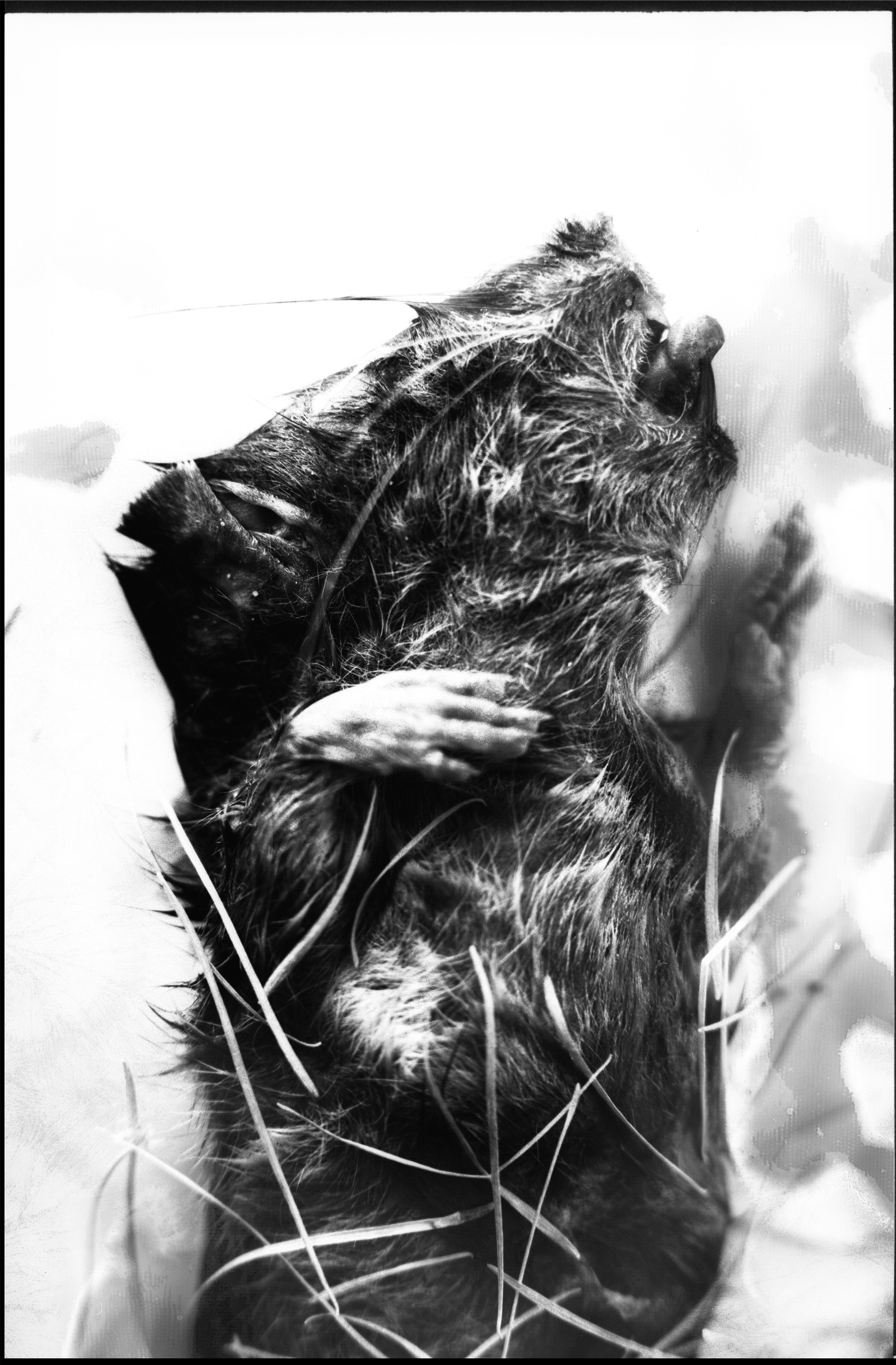 Иконическое. Избранное. Бесценное. Punctum