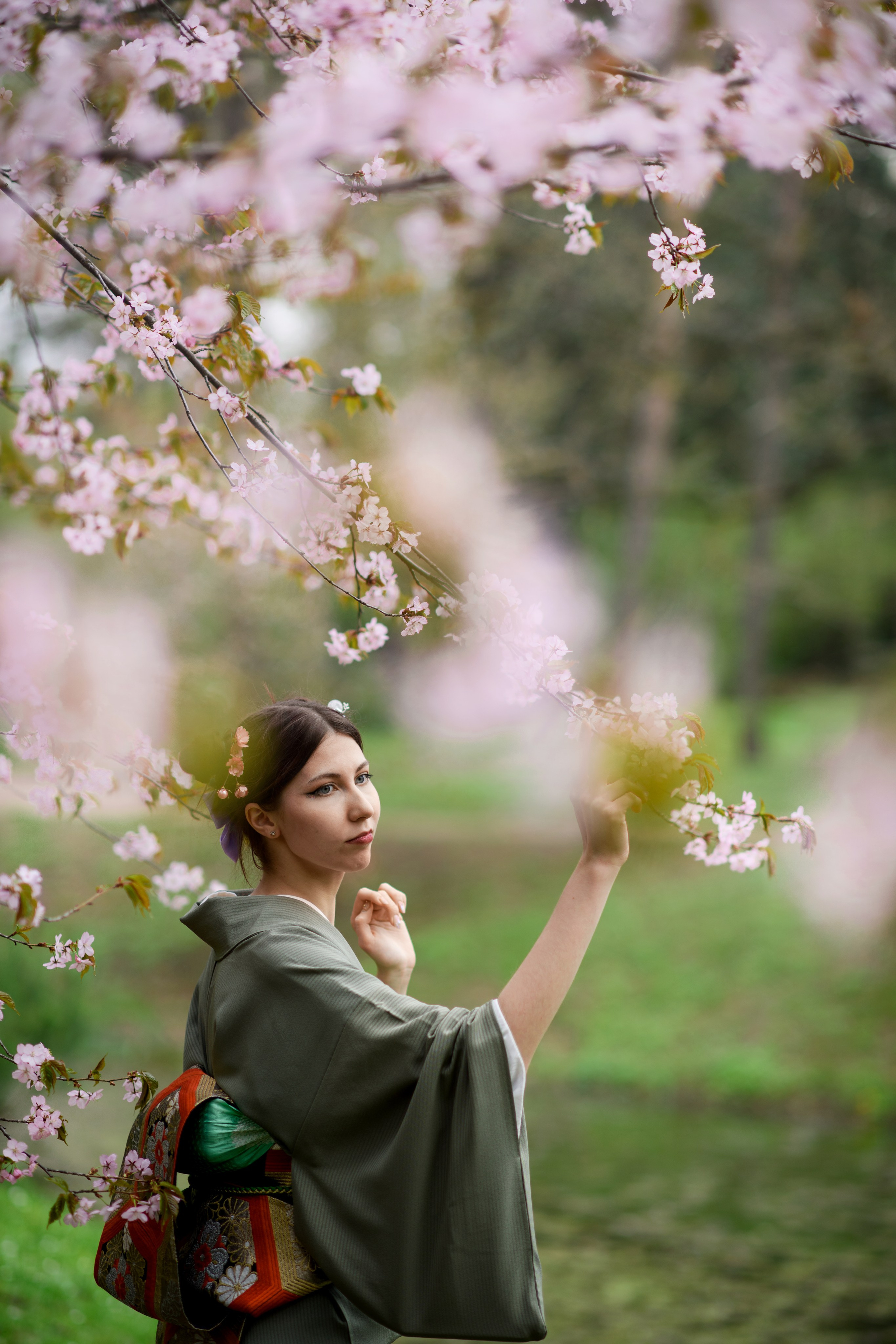 Любование цветением сакуры в Японском саду. Главная