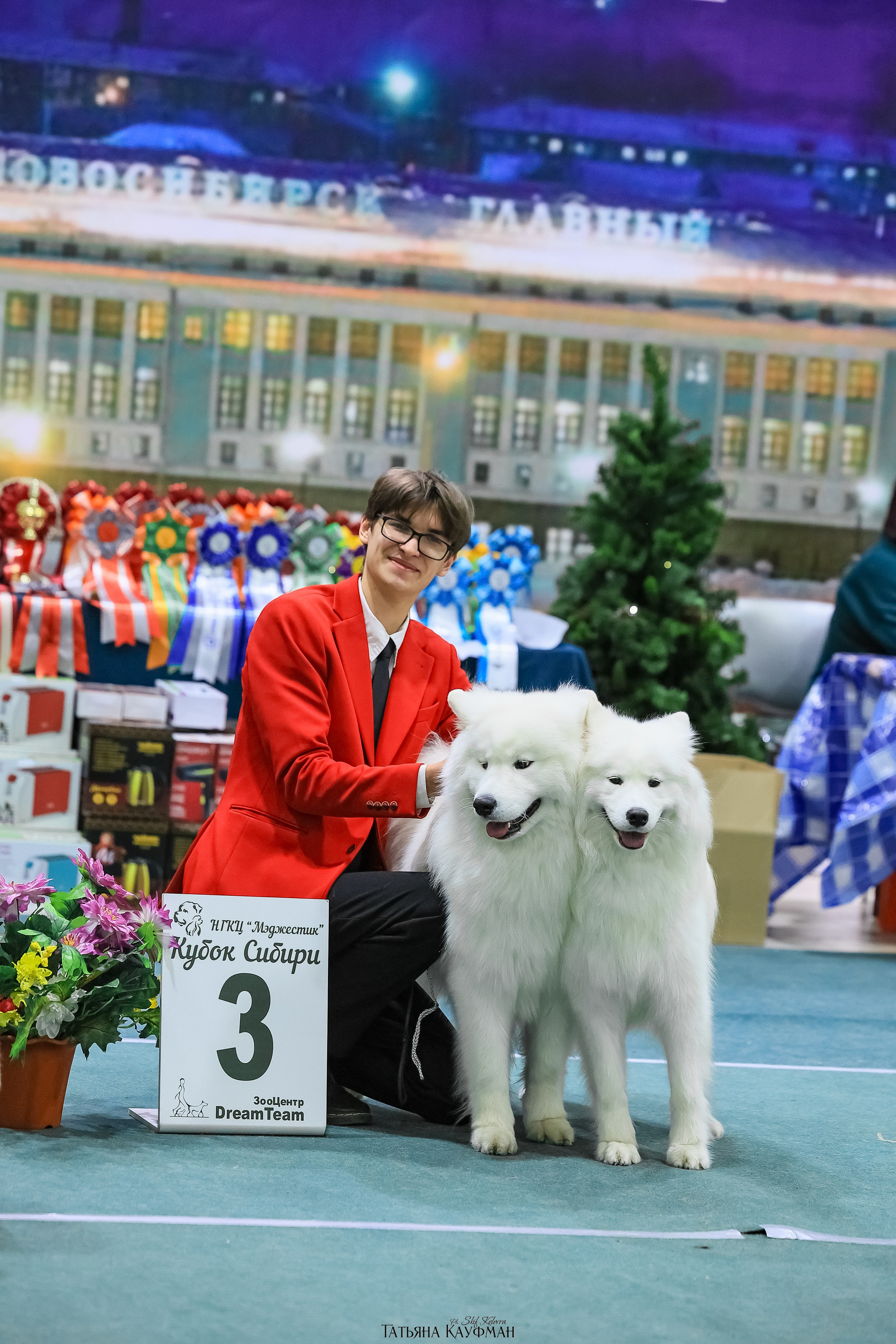 6-7.12.25 — 1-4 Национальные выставки собак в Новосибирске (2х рейтинговые). Фотограф Анималист из Новосибирска Татьяна Кауфман