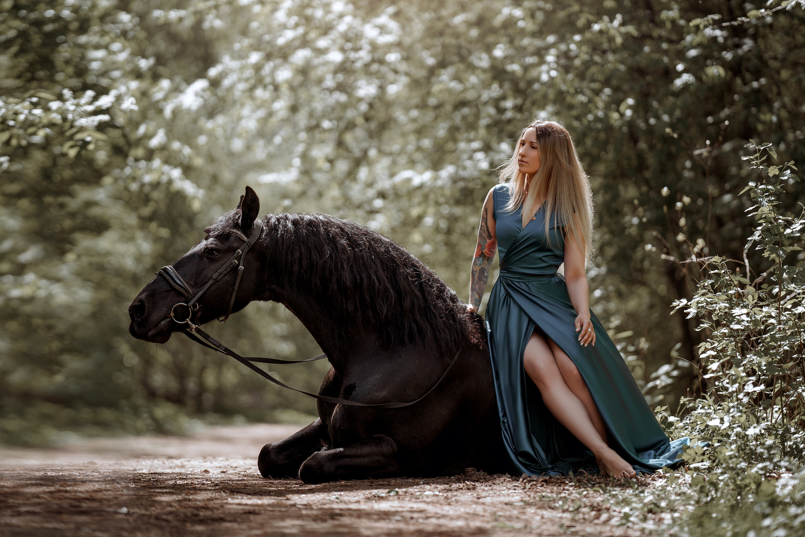 Фотосессии с лошадьми. Фотограф Артемьева Катерина|фотосессии с лошадьми