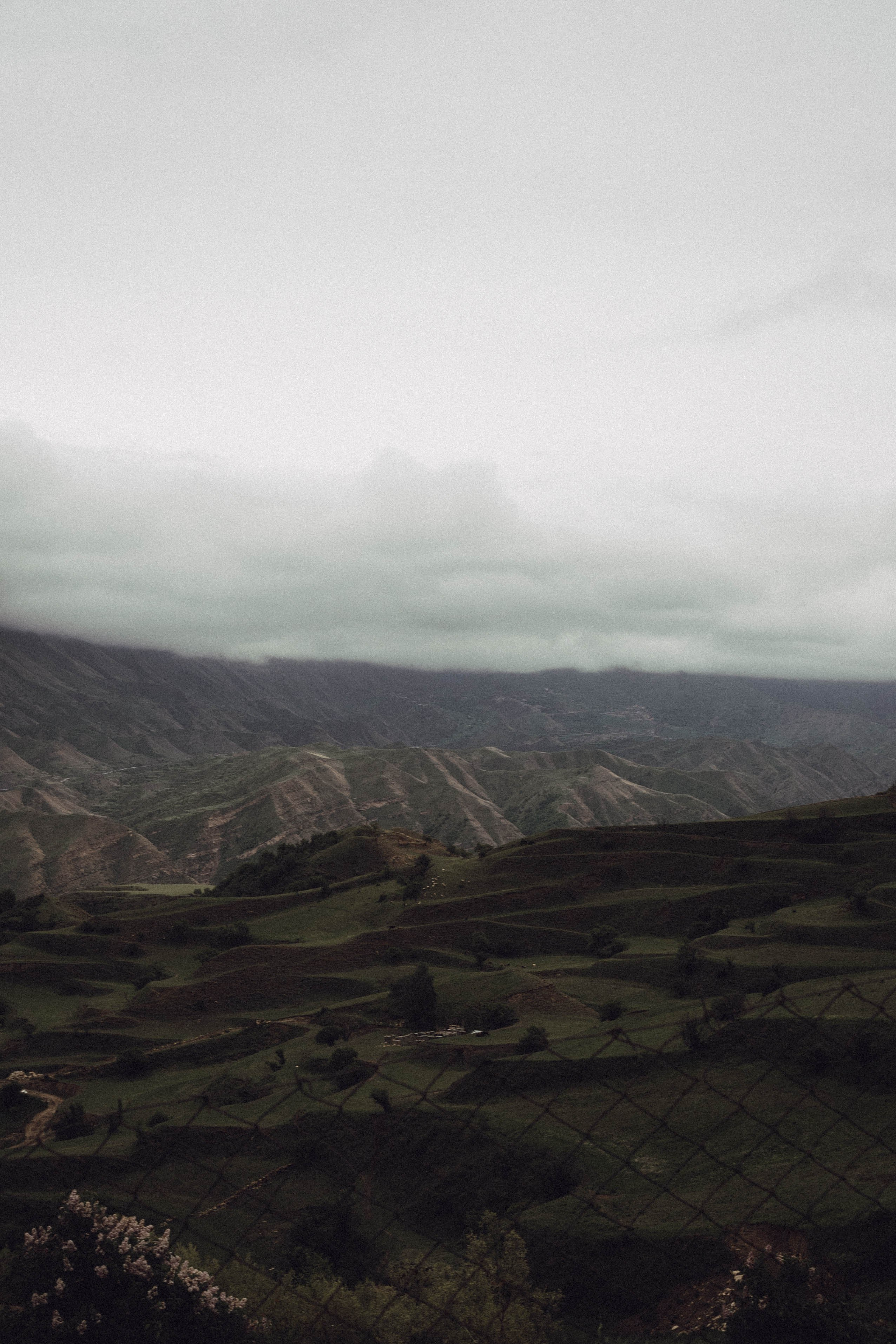 Кавказ. Профессиональный фотограф, Санкт-Петербург — Виктория Богомолова