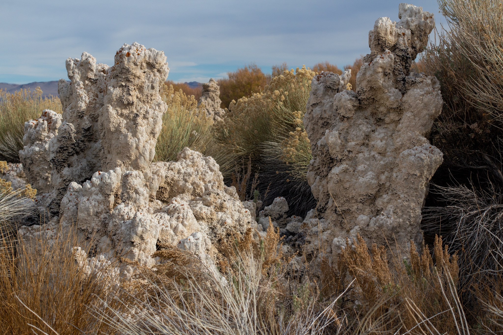 Озеро МОНО, США, 2013. Фотограф Василий Буланов