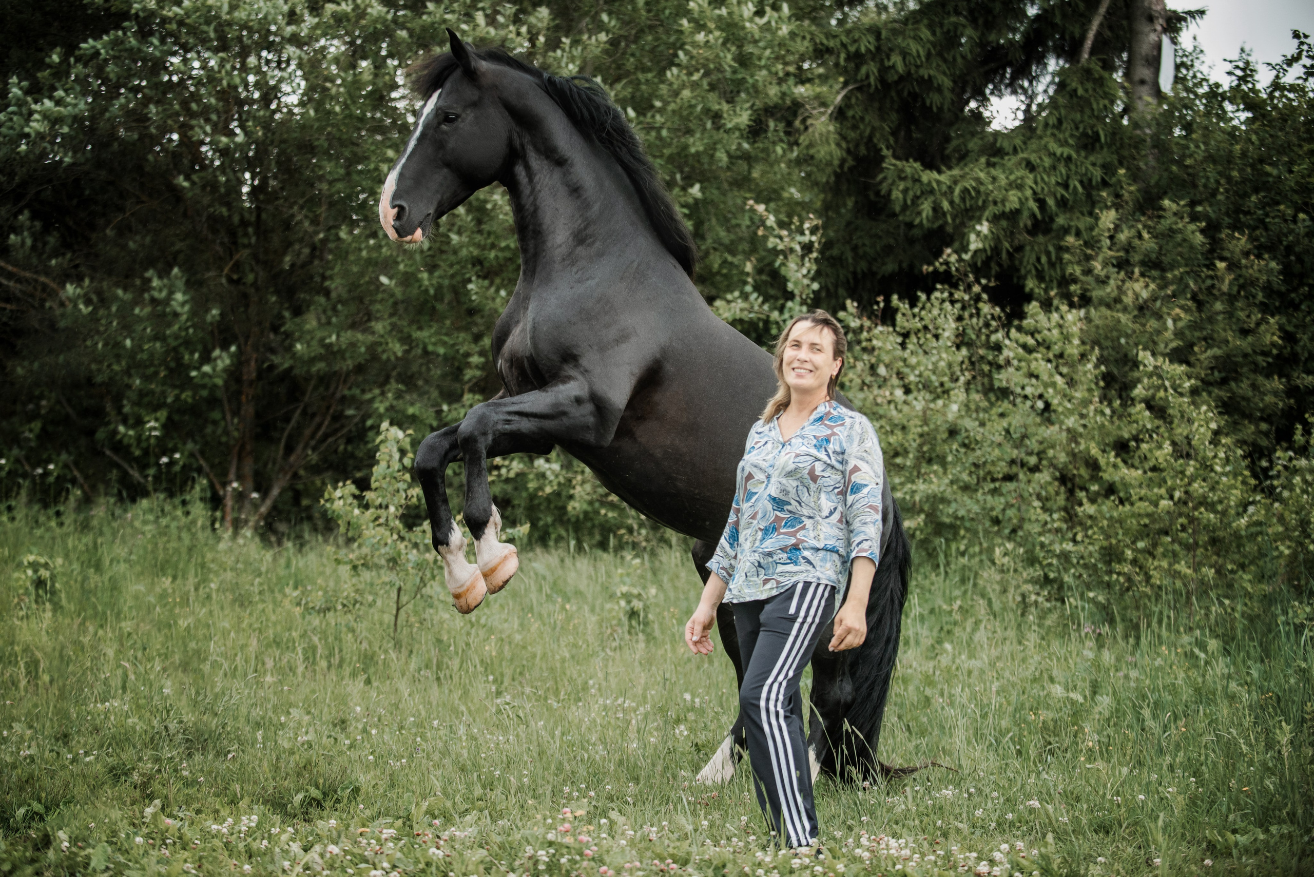KOMARDINS. Конный фотограф Куракина Дарья • Фотосессии с лошадьми