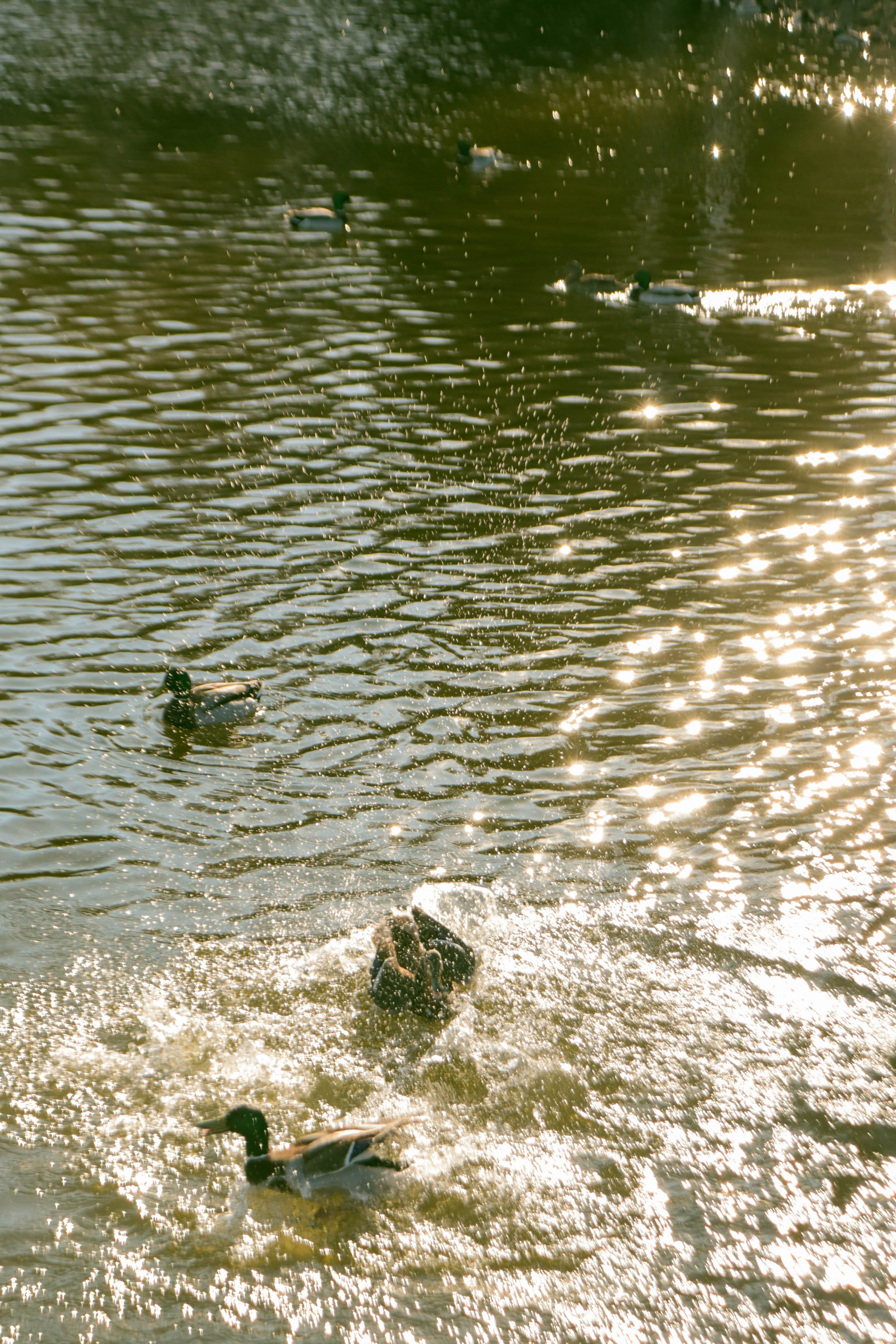 Альметьевск. Фотограф и видеограф в Бугульме Аня Трутнева