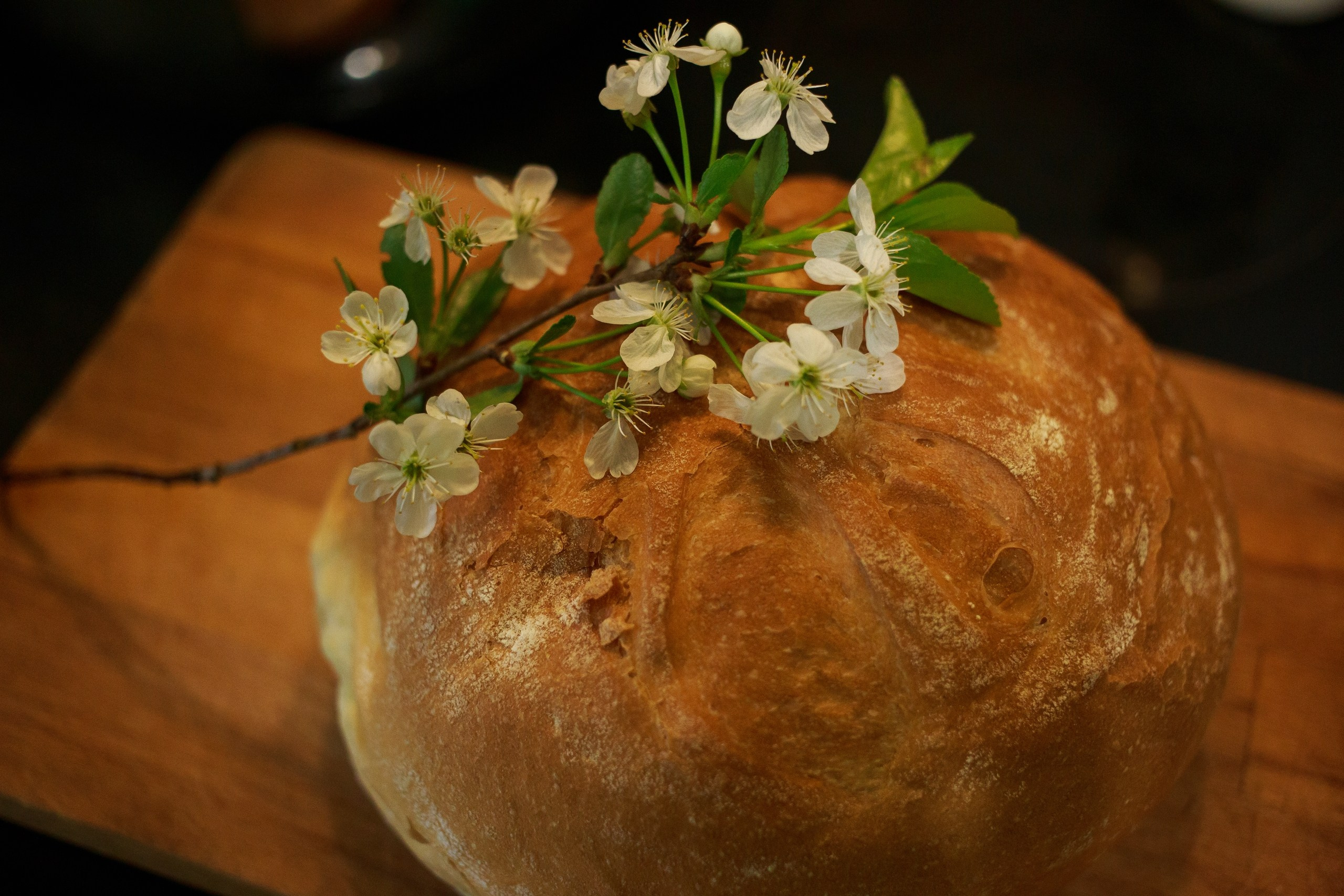Русская деревня. Детский и семейный фотограф, фотограф мероприятий Нижний Новгород