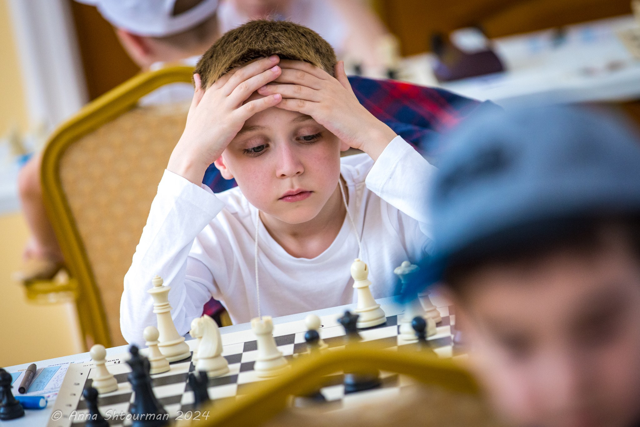 2024 Первенство России по шахматам до 9 лет (Кострома, Россия). Фотограф Анна Штурман (репортажная съёмка любых событий и мероприятий) Anna Shtourman photographer