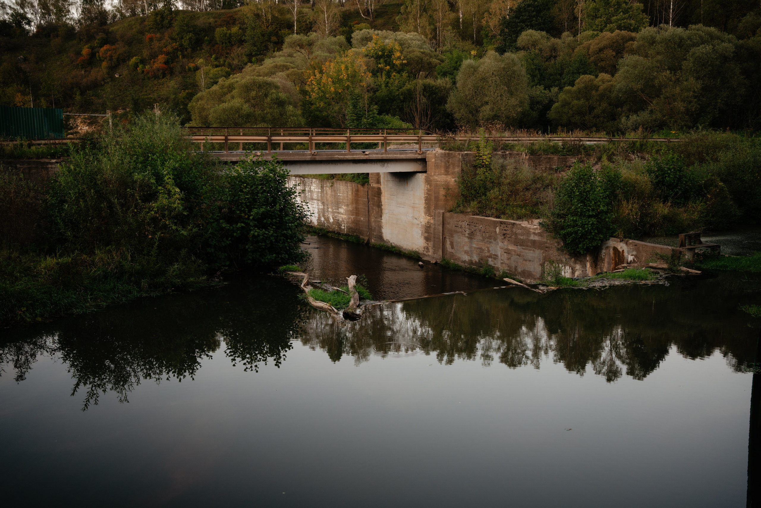 Дугна. Vlad Trykov