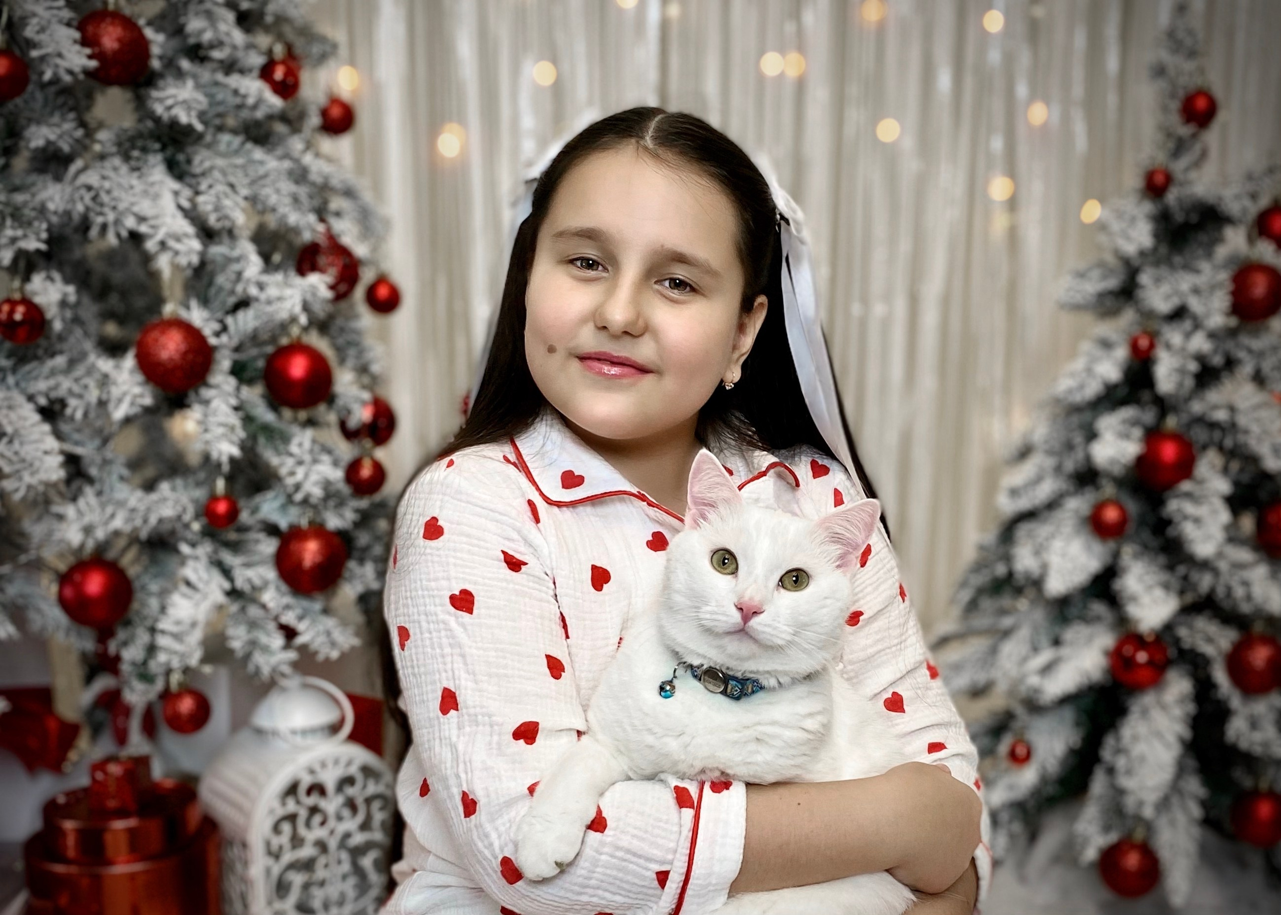 Новогодняя фотосессия. Портфолио