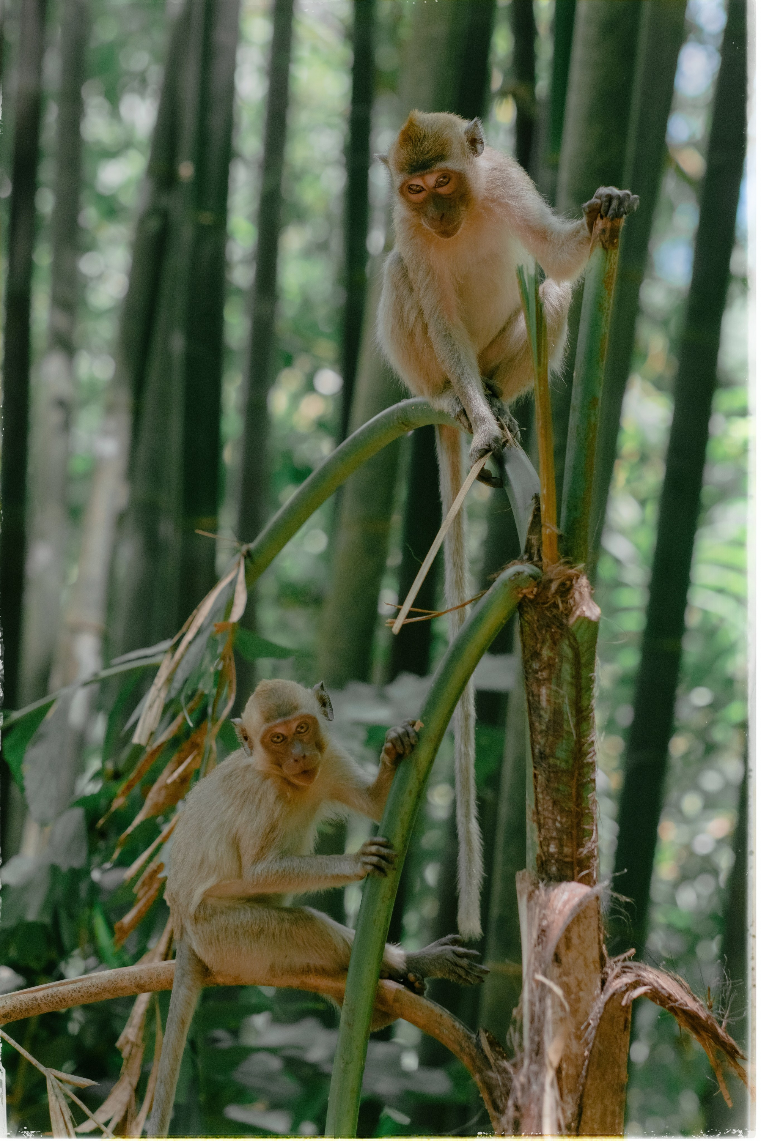 Таиланд. Портретный и репортажный фотограф в Санкт-Петербурге Дарья Сибирякова