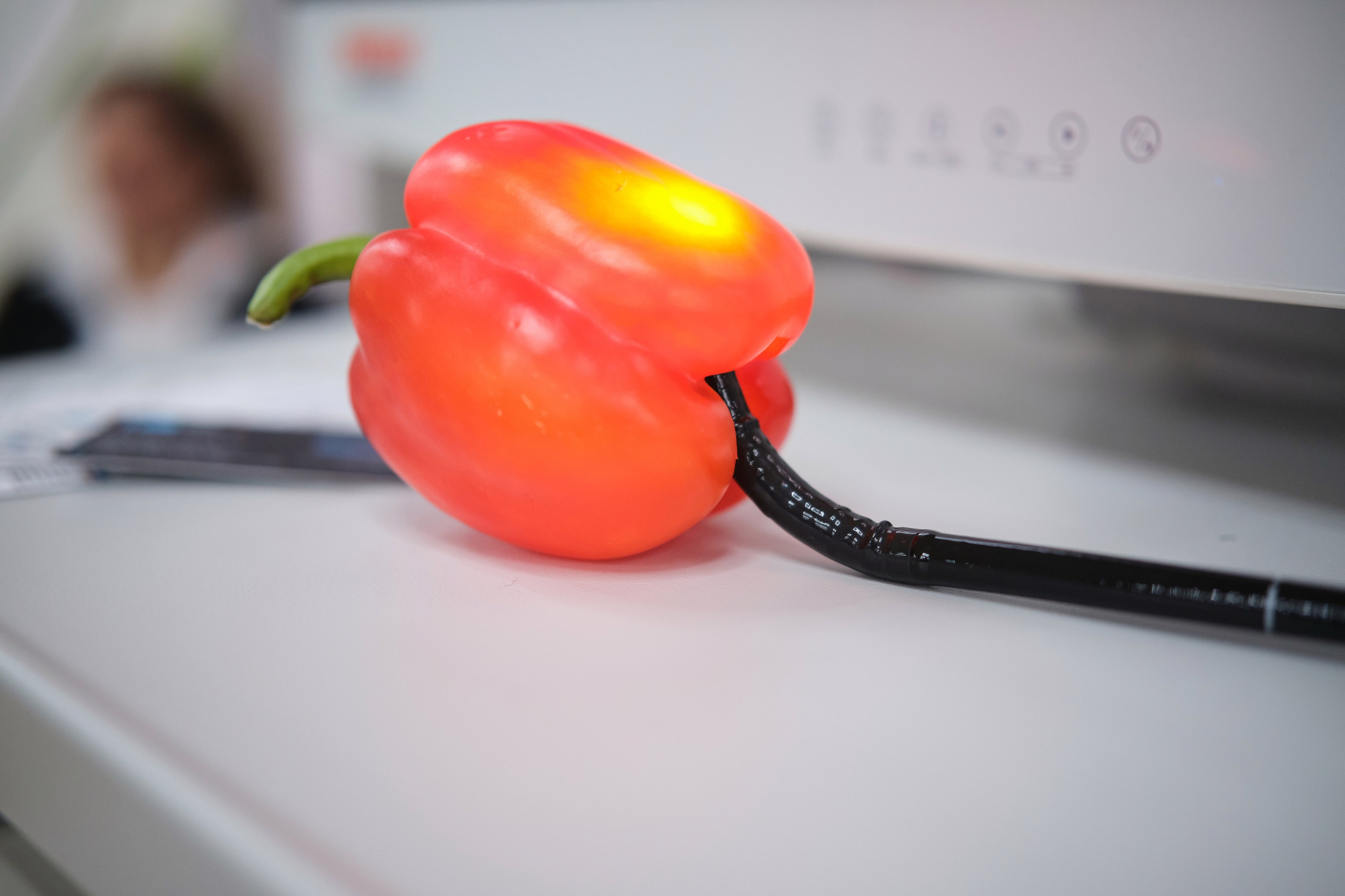 90 лет МГКОЦ. Репортажный фотограф Дмитрий Литвинский. Минск, Беларусь, мир