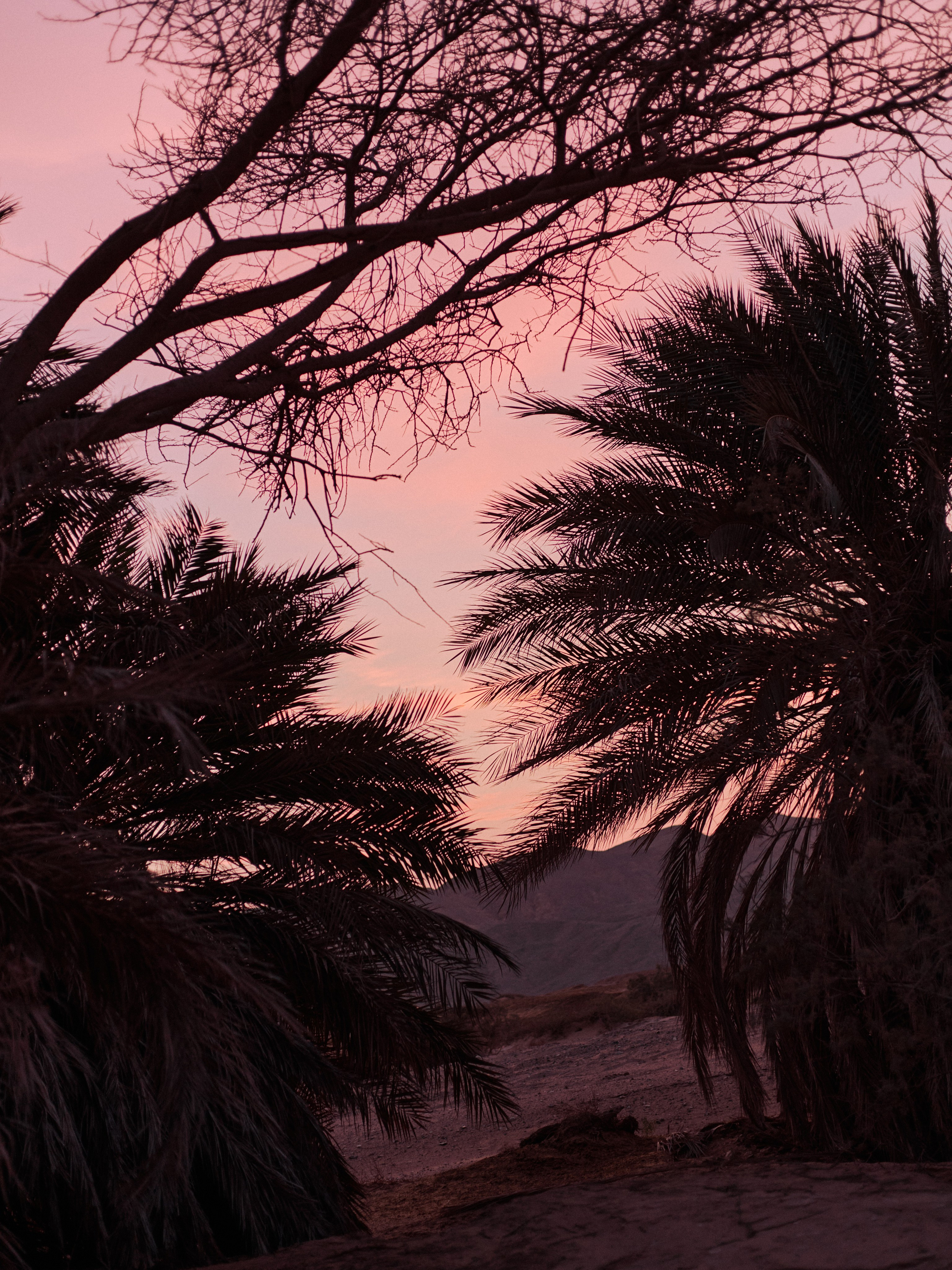 Другое 3. Jorgis Talè — photographer, kind person, teacher of arts and other mag