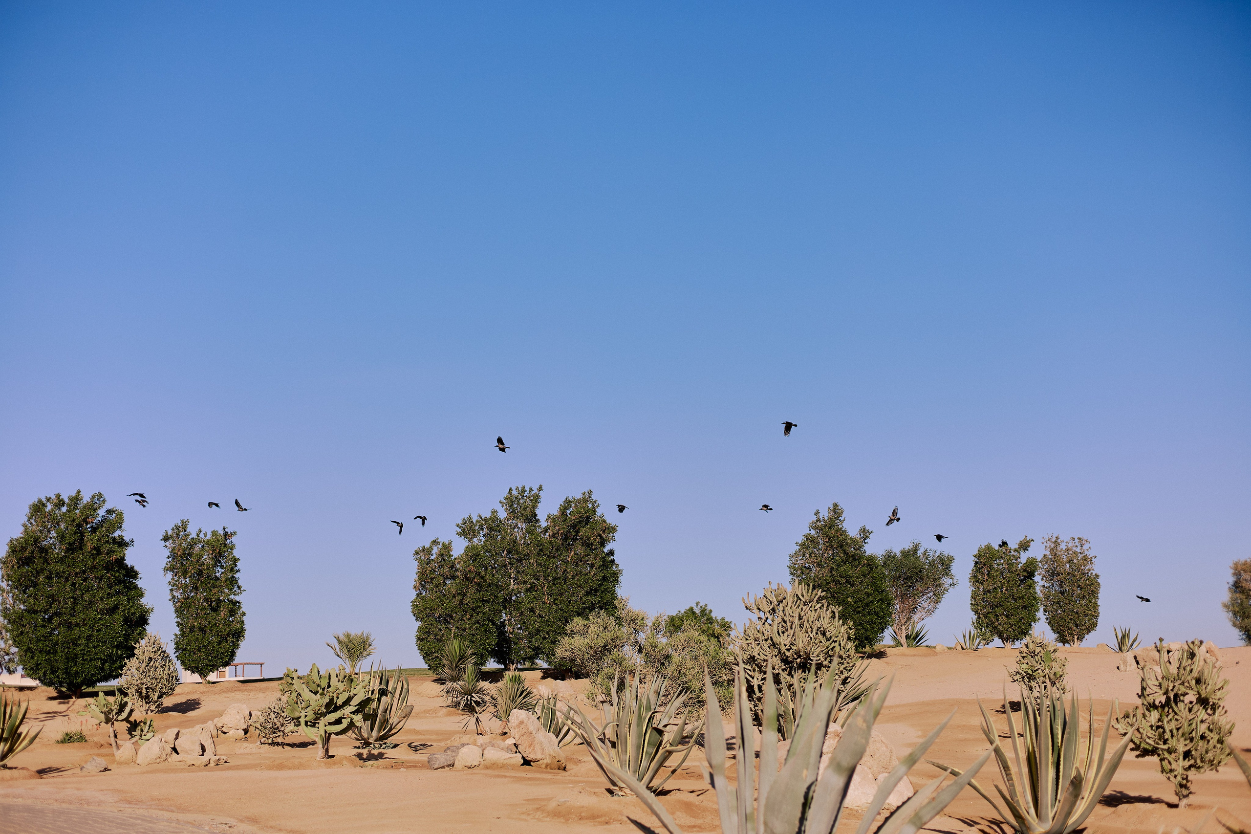 Улица горизонтальная. Jorgis — фотограф в Хургаде / обучение фотографии
