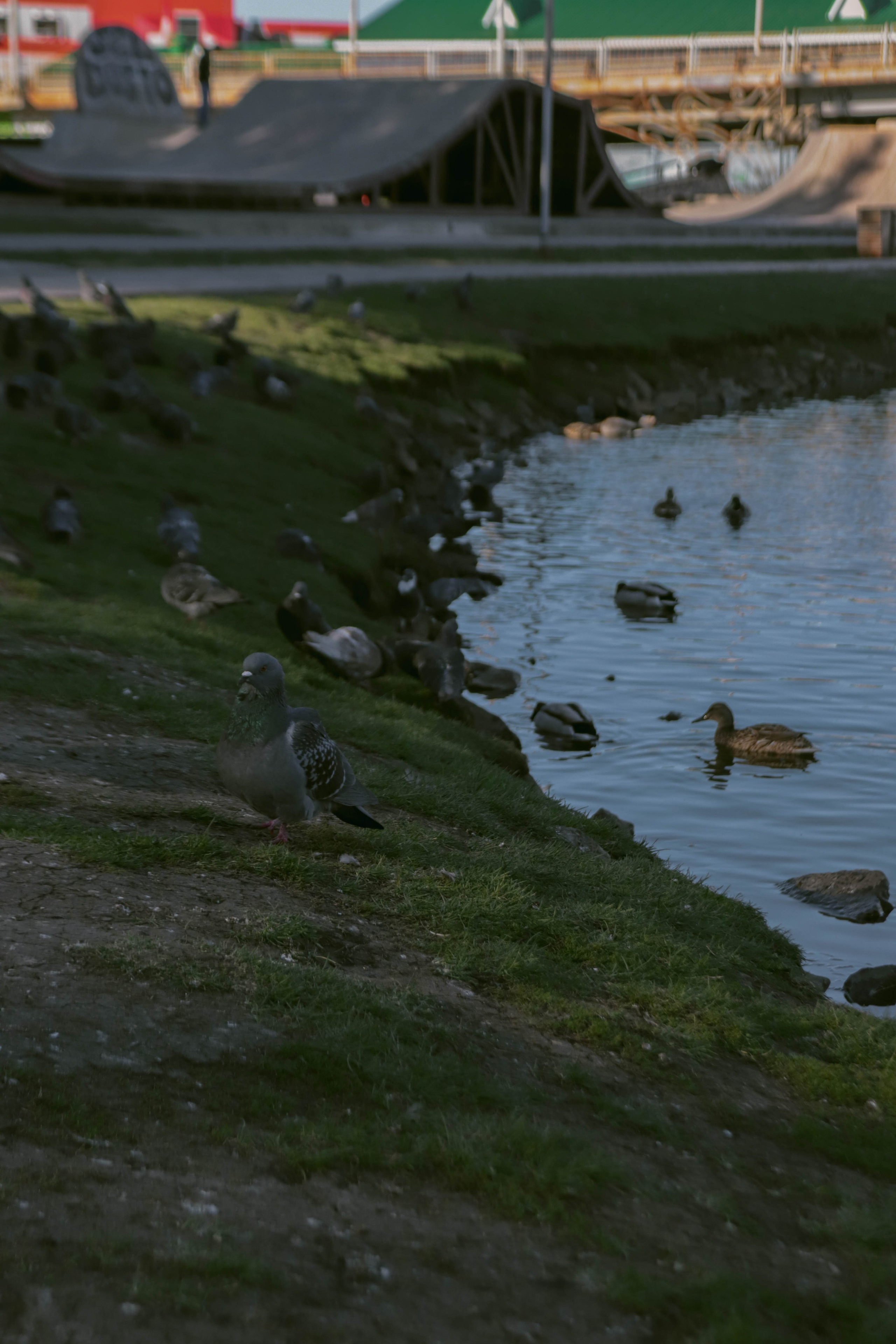 Альметьевск. Фотограф и видеограф в Бугульме Аня Трутнева
