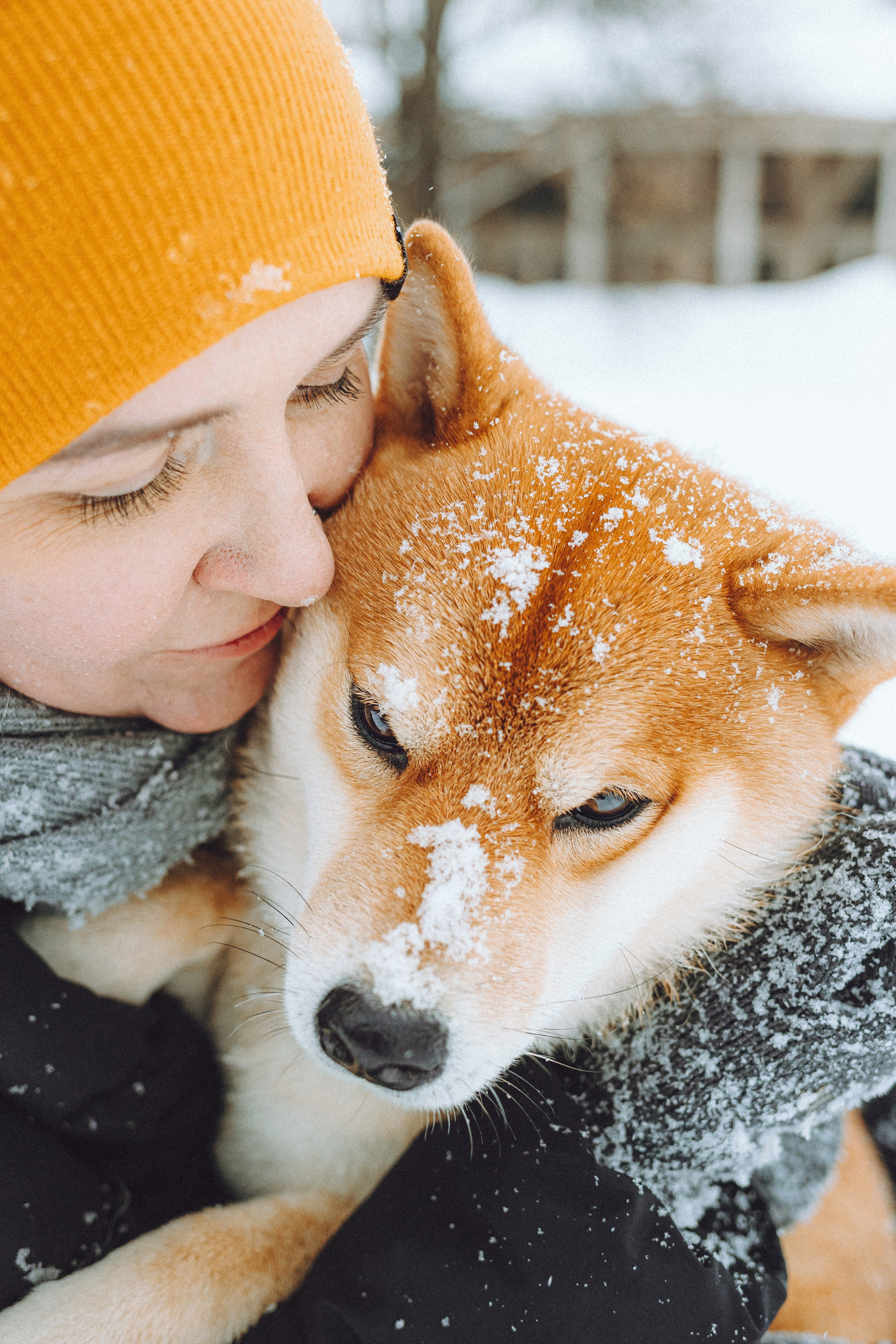 Настя и Ронин