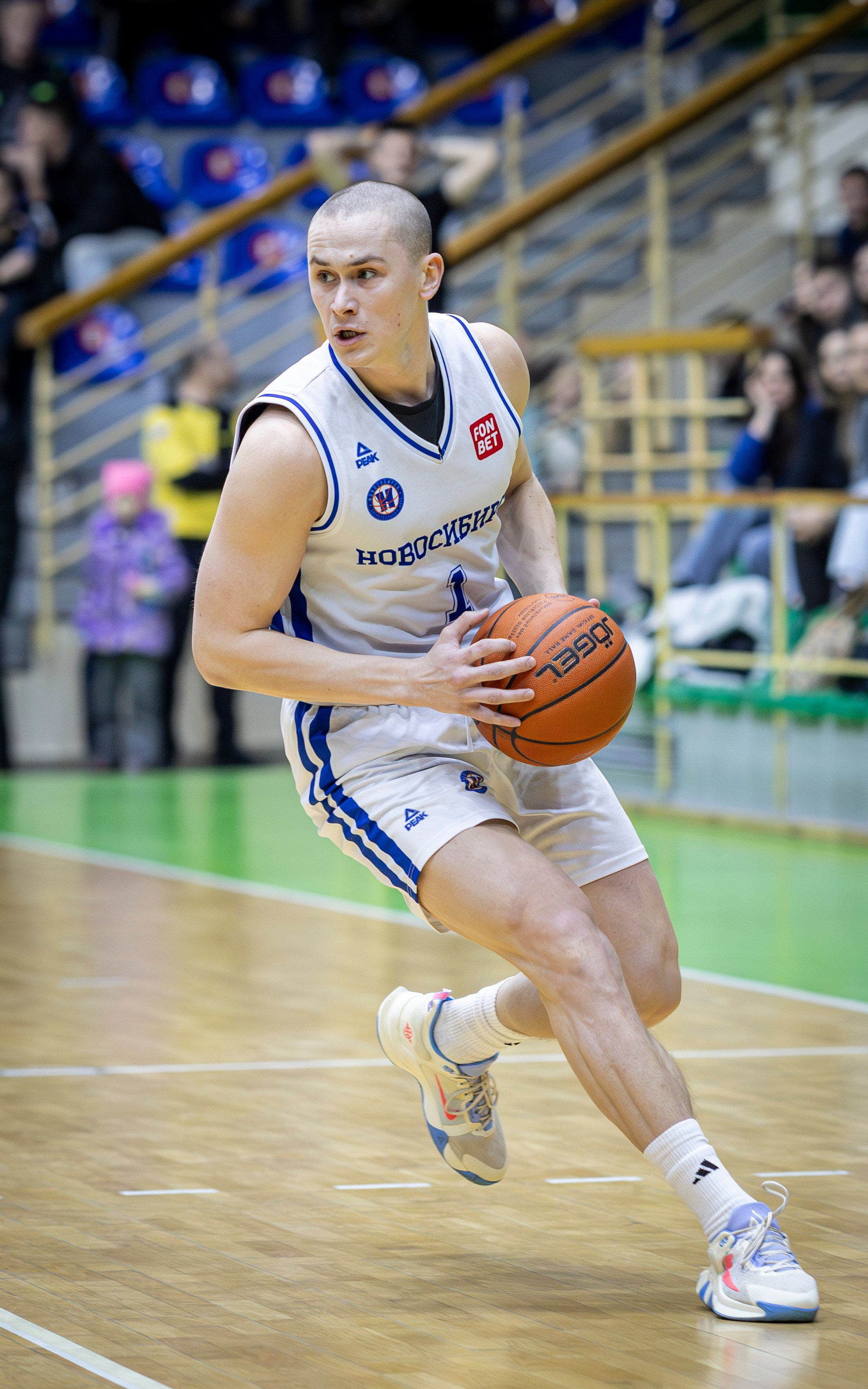 БК Новосибирск. Bertran Ordo