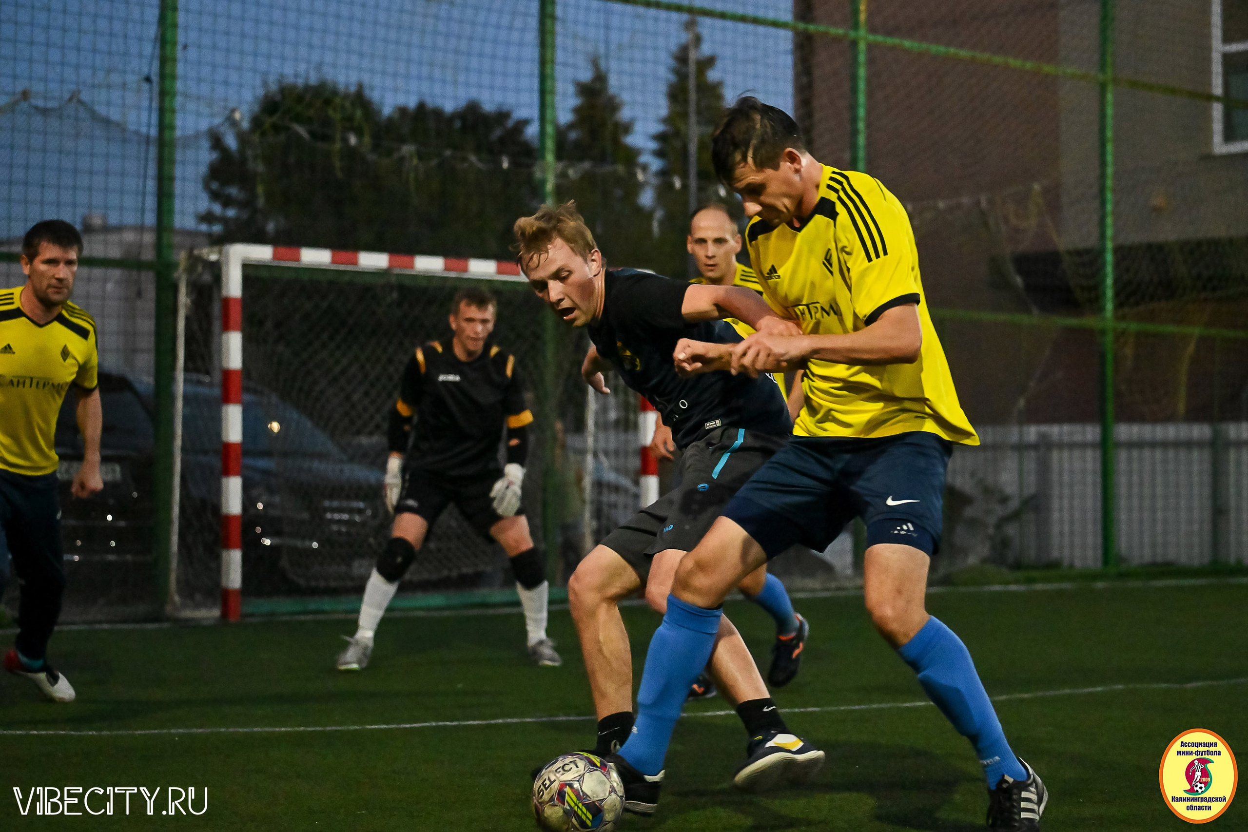 ФИНАЛЬНЫЕ ИГРЫ КУБКА МИНИ-ФУТБОЛЬНОЙ ЛИГИ И КУБКА КОРПОРАТИВНОЙ МФЛ 2025. VIBECITY.RU Вайб Сити Ру Фоторепортажи Фотоотчеты Калининград
