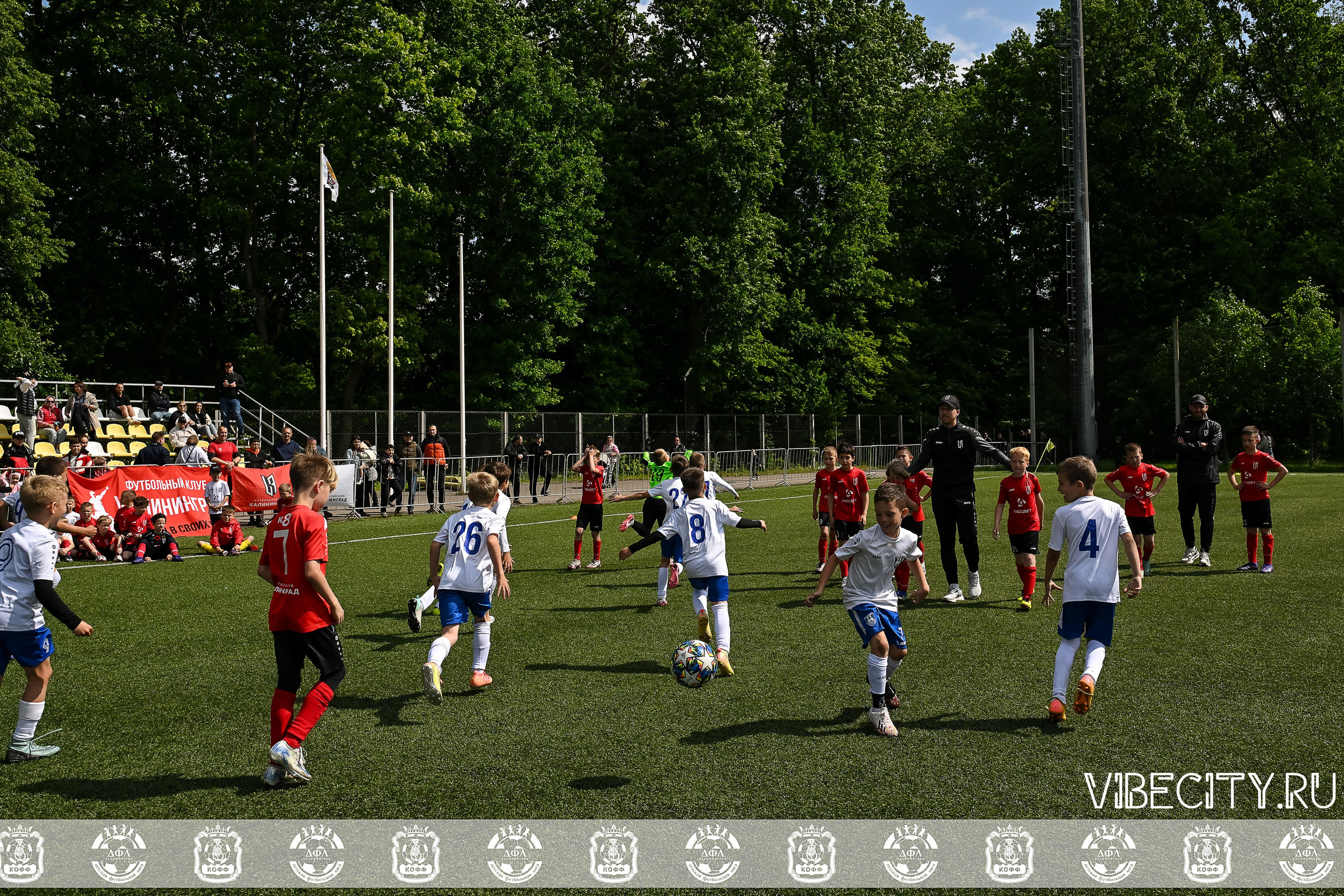 Большие Звезды светят Малым. VIBECITY.RU Вайб Сити Ру Фоторепортажи Фотоотчеты Калининград