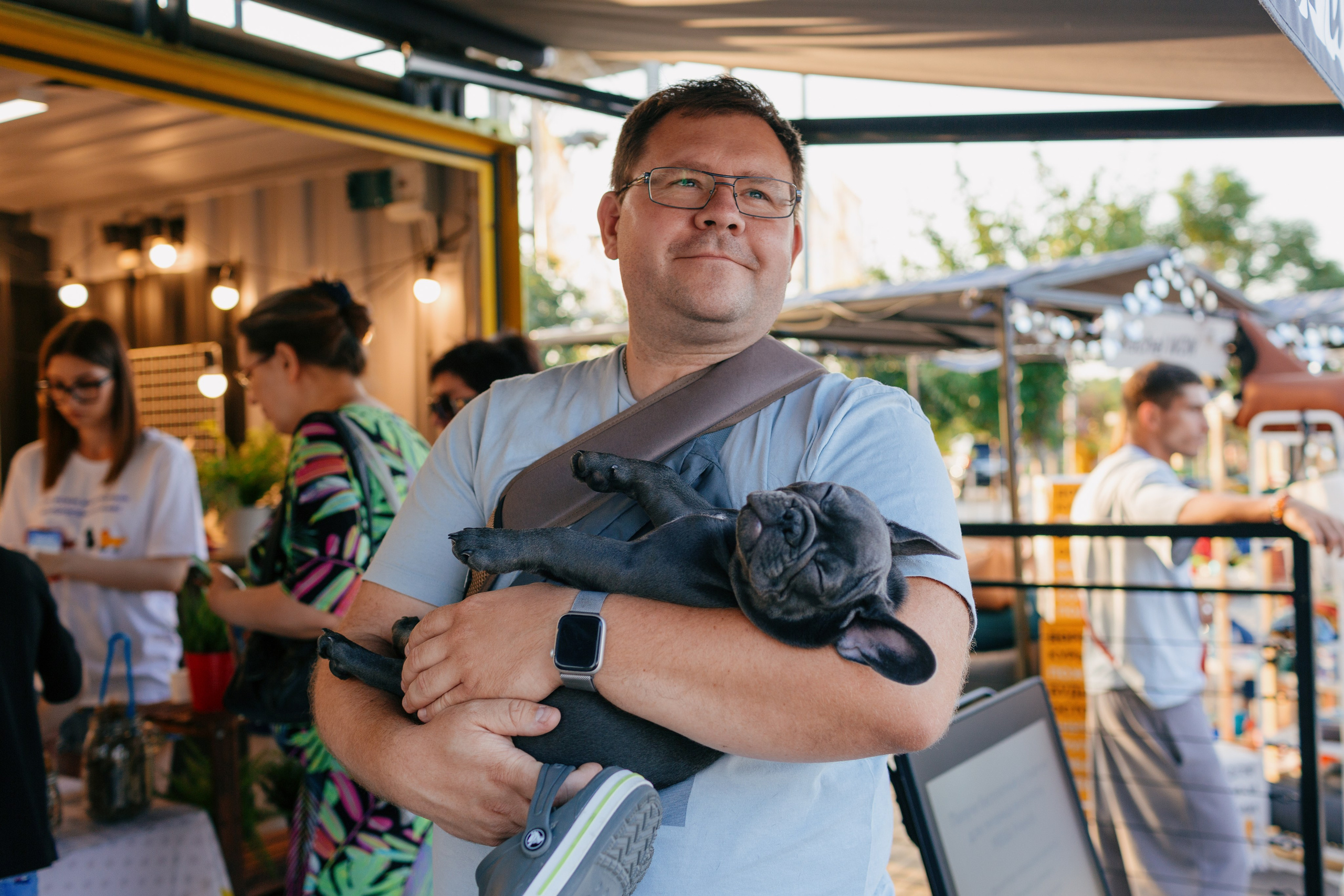 Dog Fest 2024. Главная