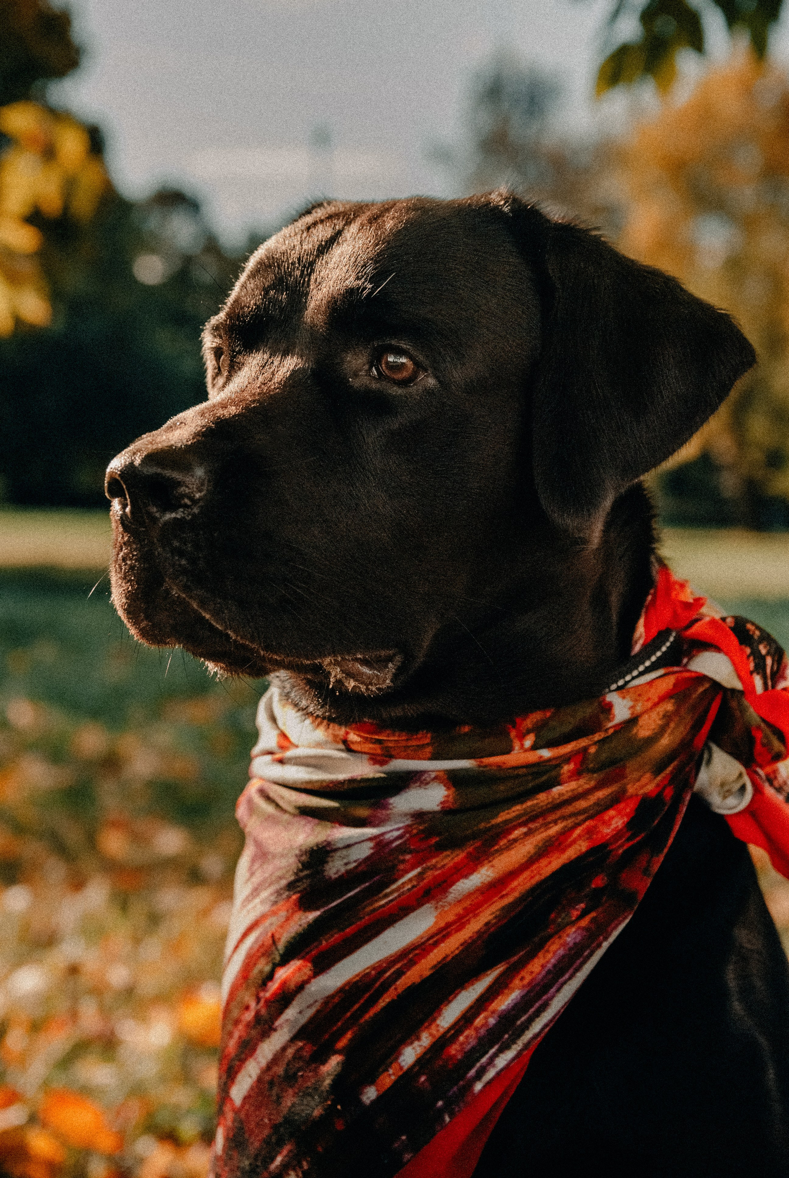 Зоопарк в моём багаже. Кошенкова Мария: портретный и репортажный фотограф. Санкт-Петербург