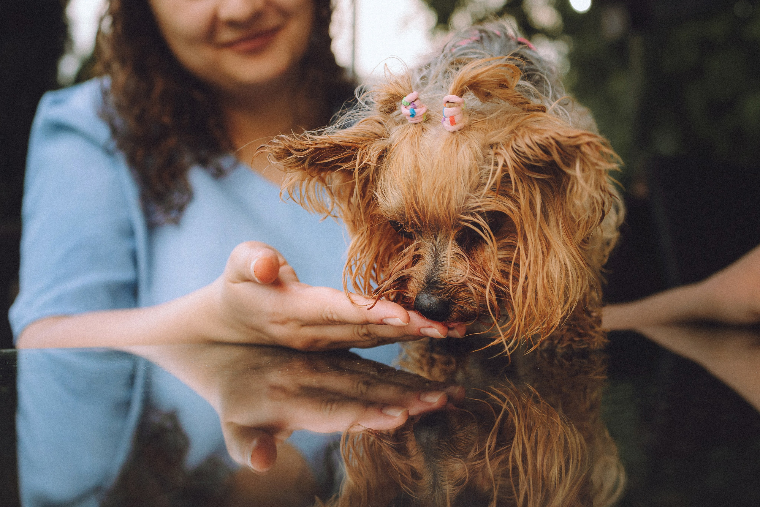 Даша и Дэзи