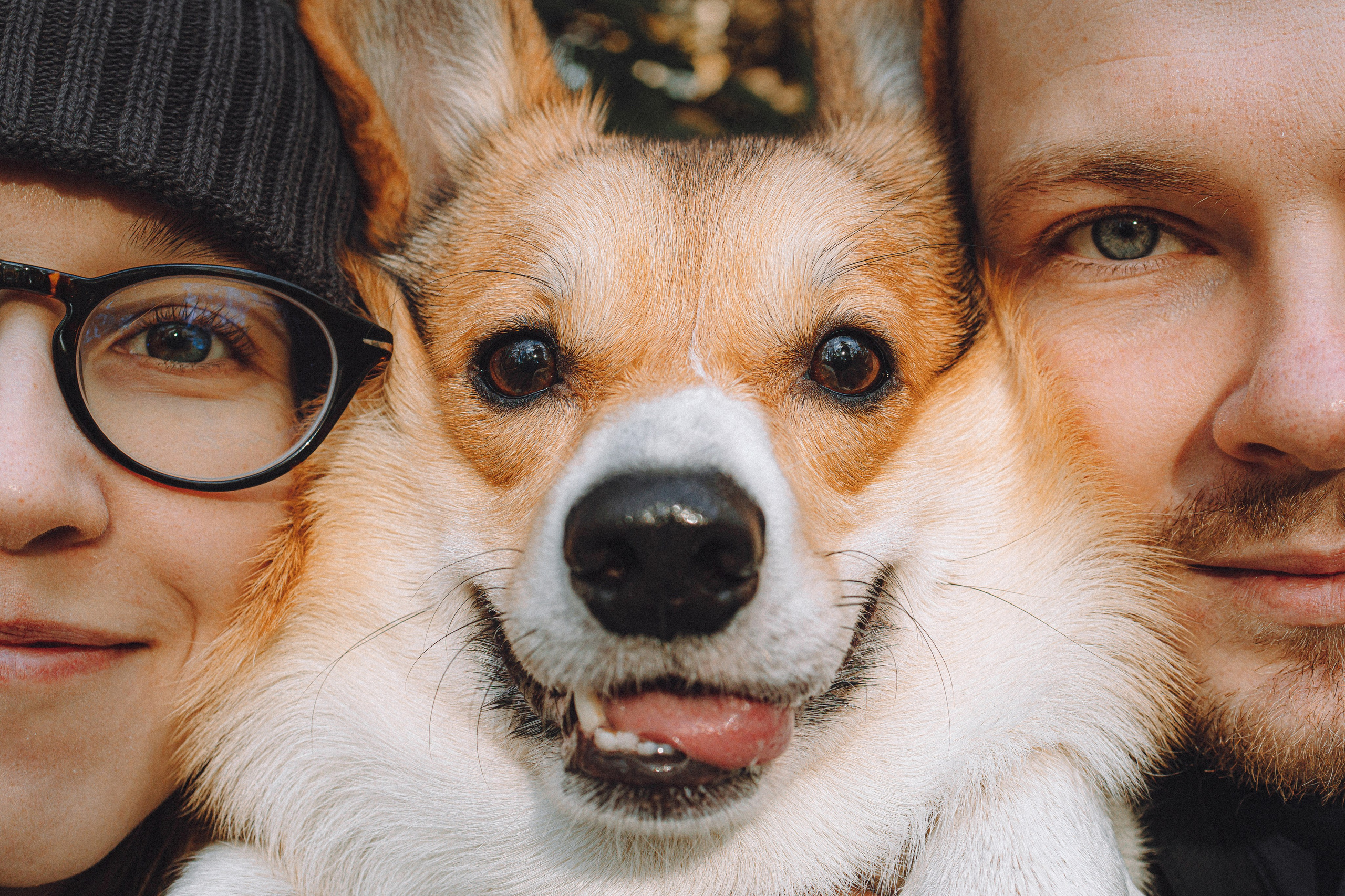 Карина, Даня и Аркаша