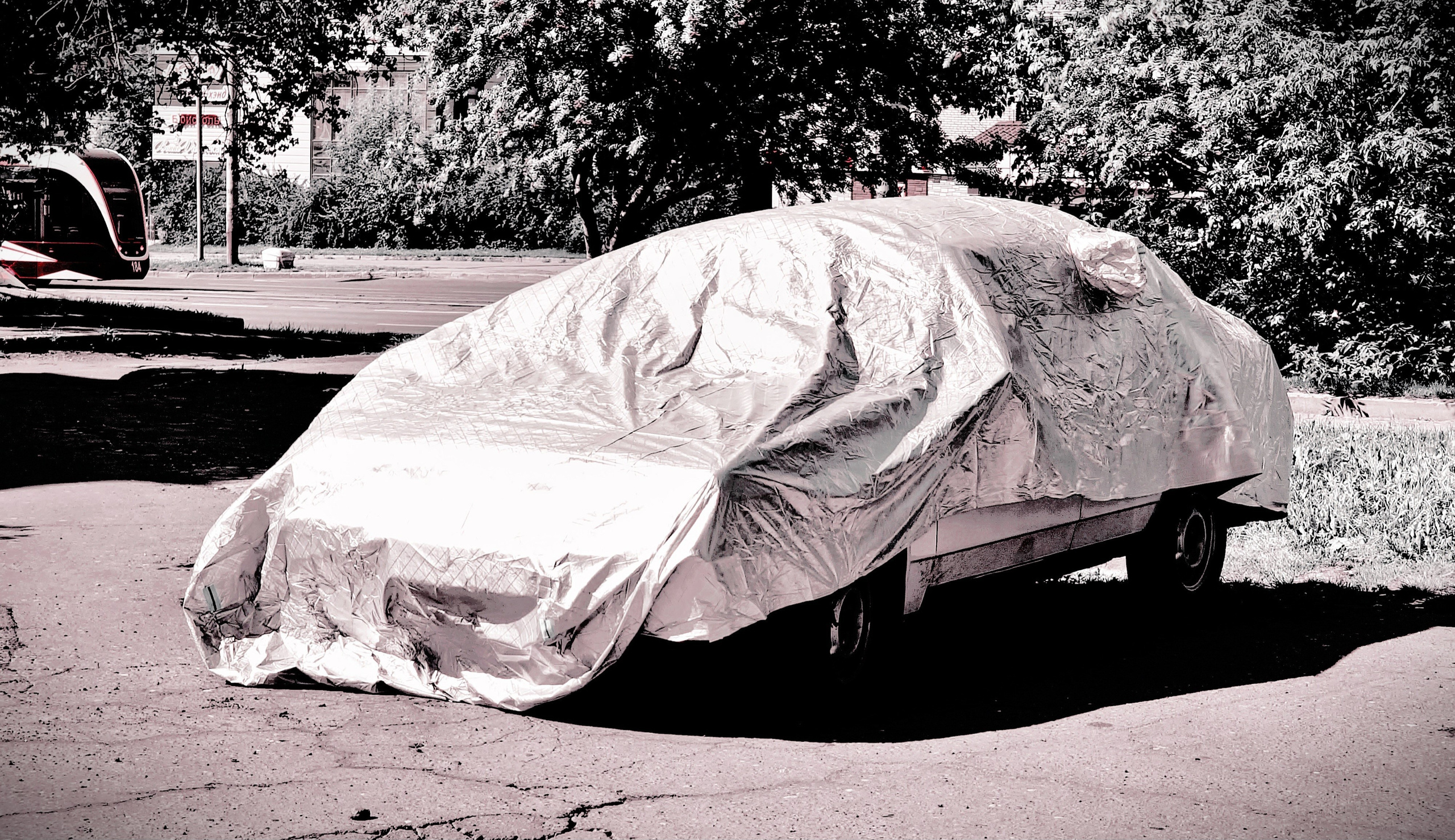 Июль 2025. Den Mirov — Фотограф, Музыкант