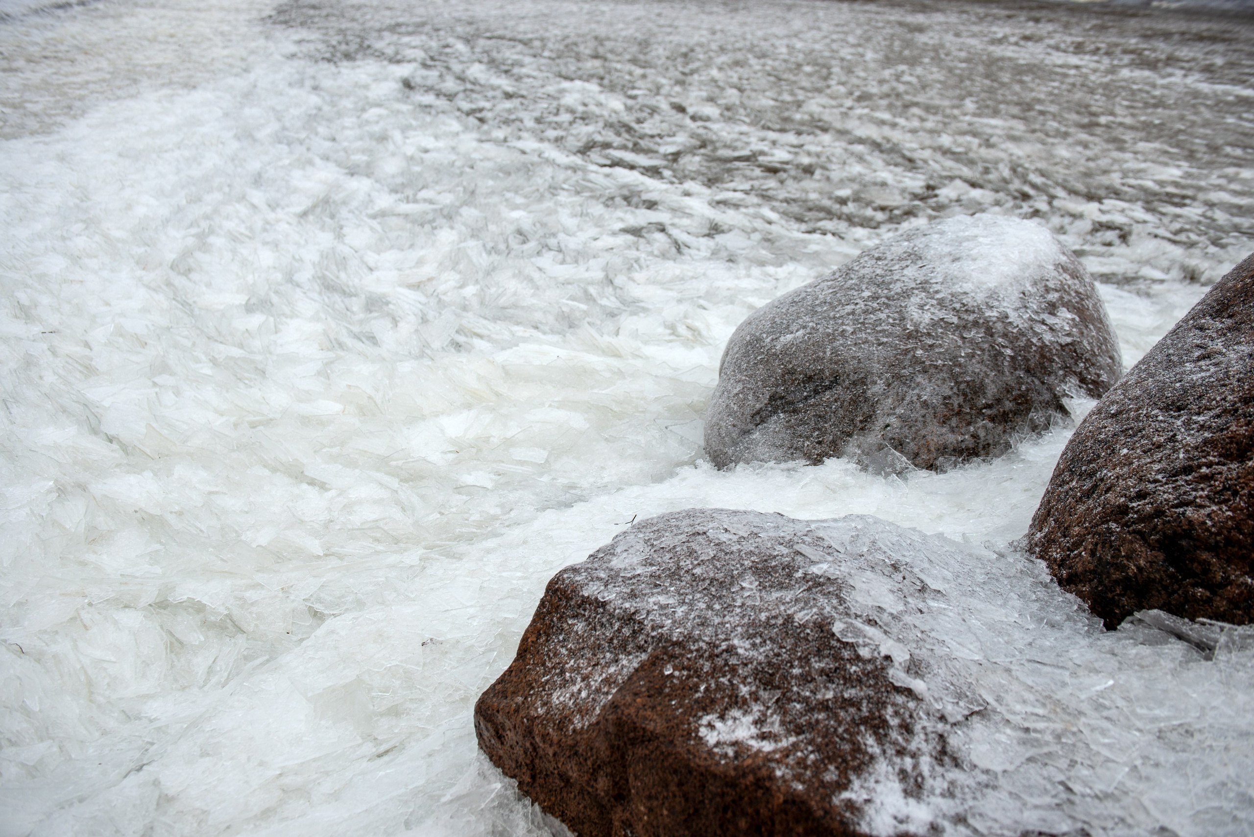 Landscape, nature, plants, details of the world around us. Personal website of photographer Dmitry Raikin