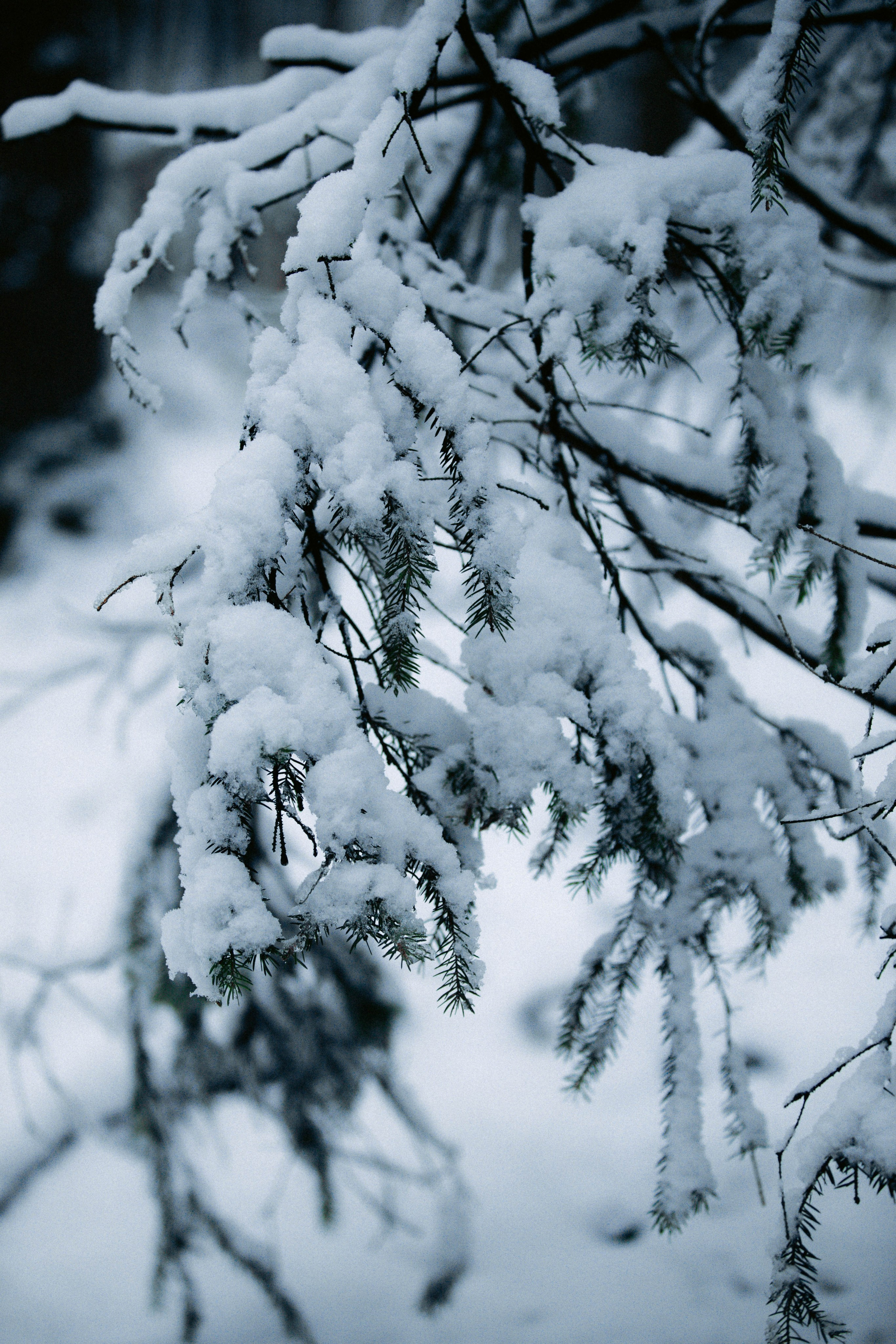 Марафон у дома_Бунино. Александра Мельниченко/ Бегающий фотограф
