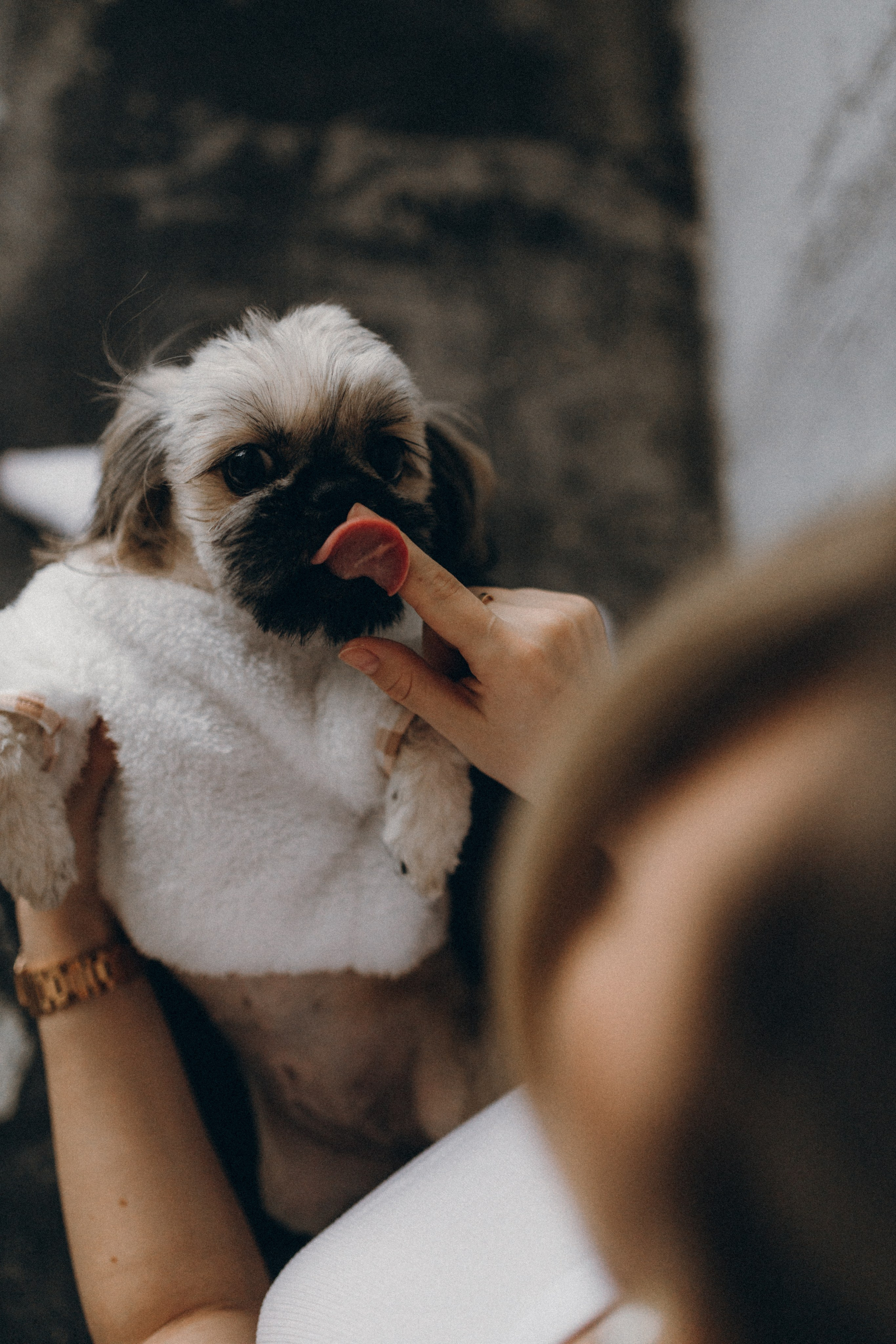 Алина. Фотограф НОГИНСК, Москва, Анастасия Белая