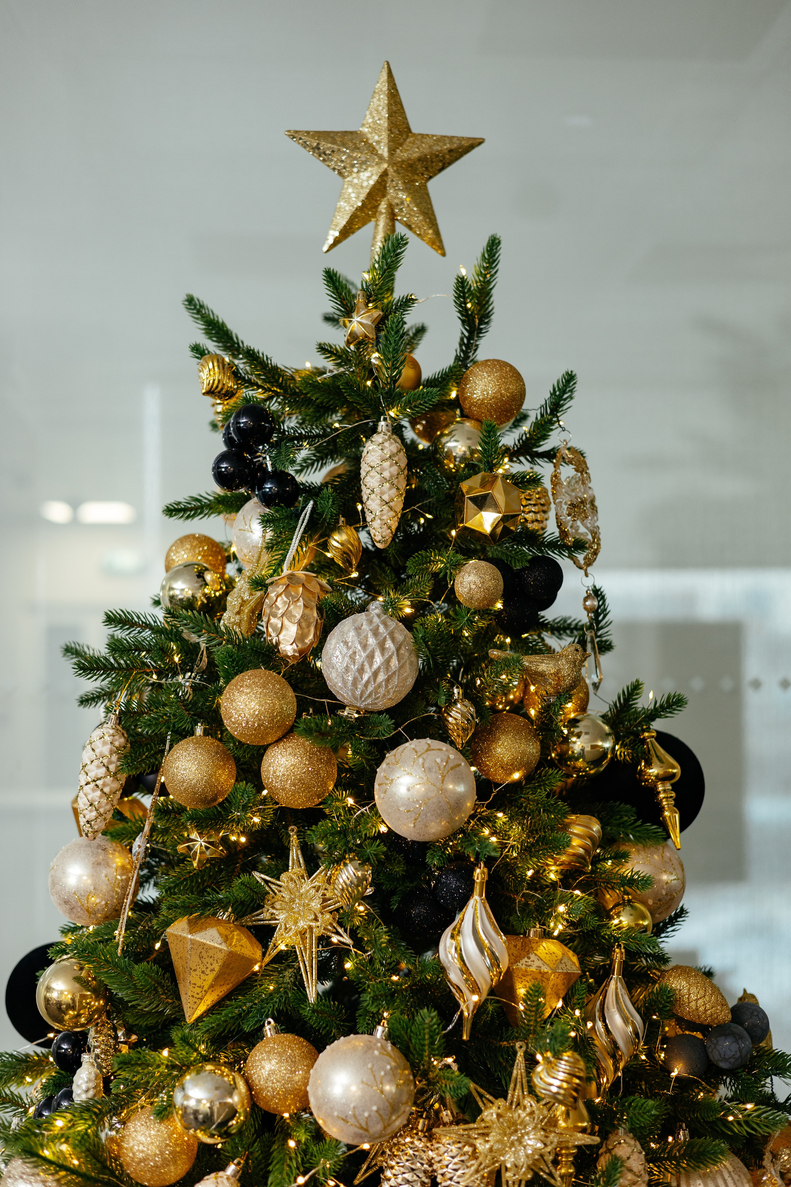 Ёлки. Студия декора Подзюм