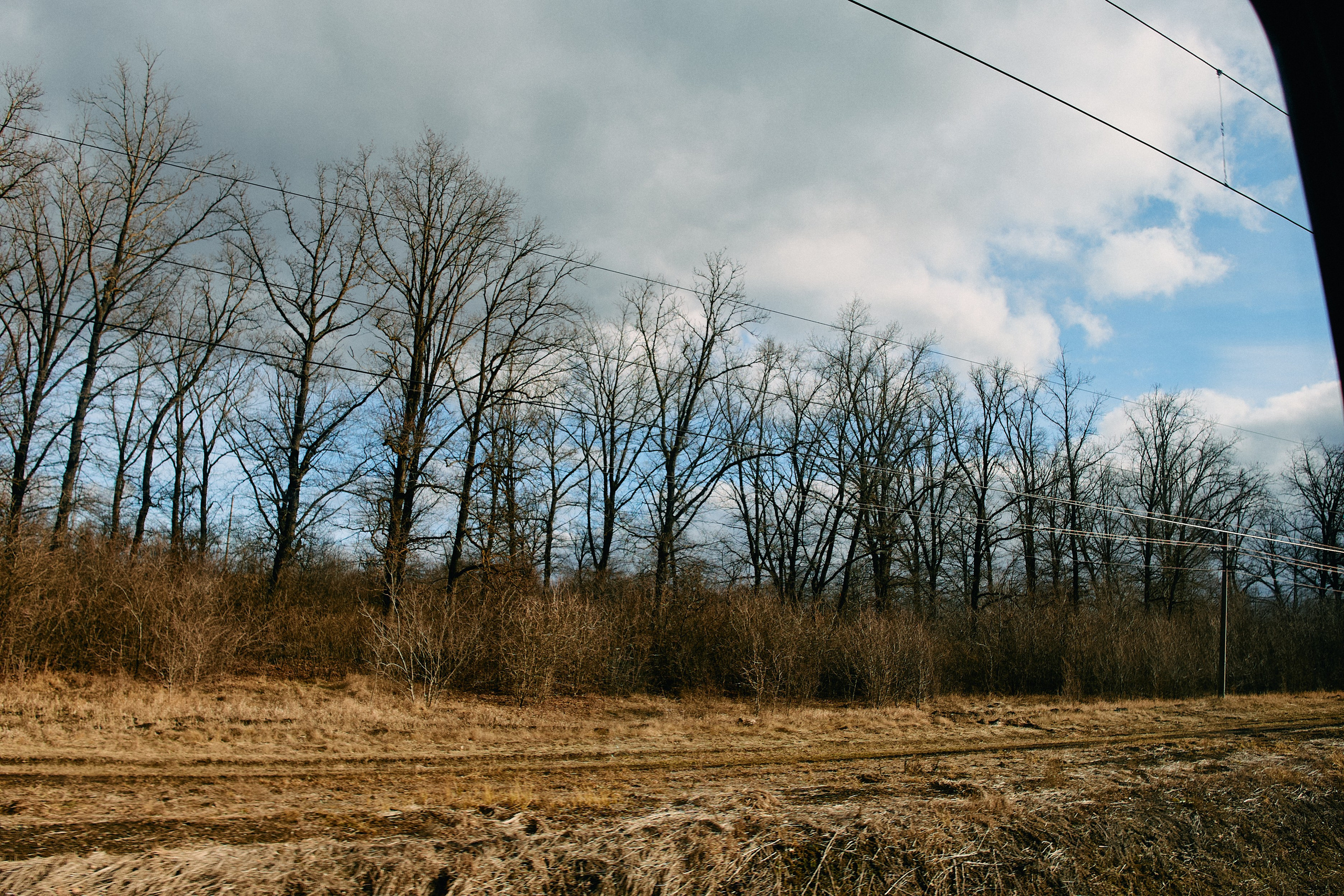 Юг России. Профессиональный Фотограф во Владимире, в Москве и в Суздале — Полина Романычева